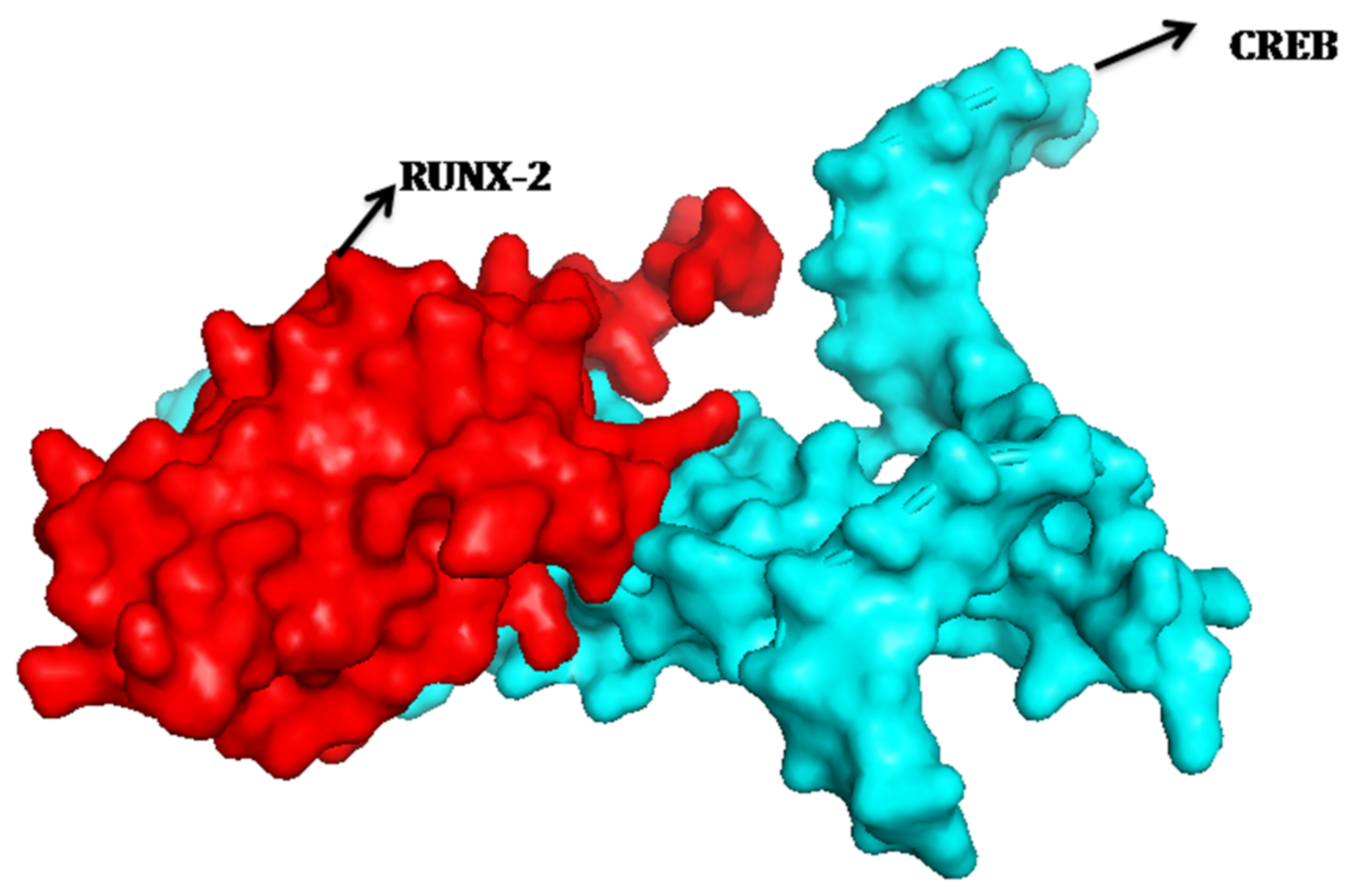 Molecules 27 00613 g007 Molecules 27 00613 g007
