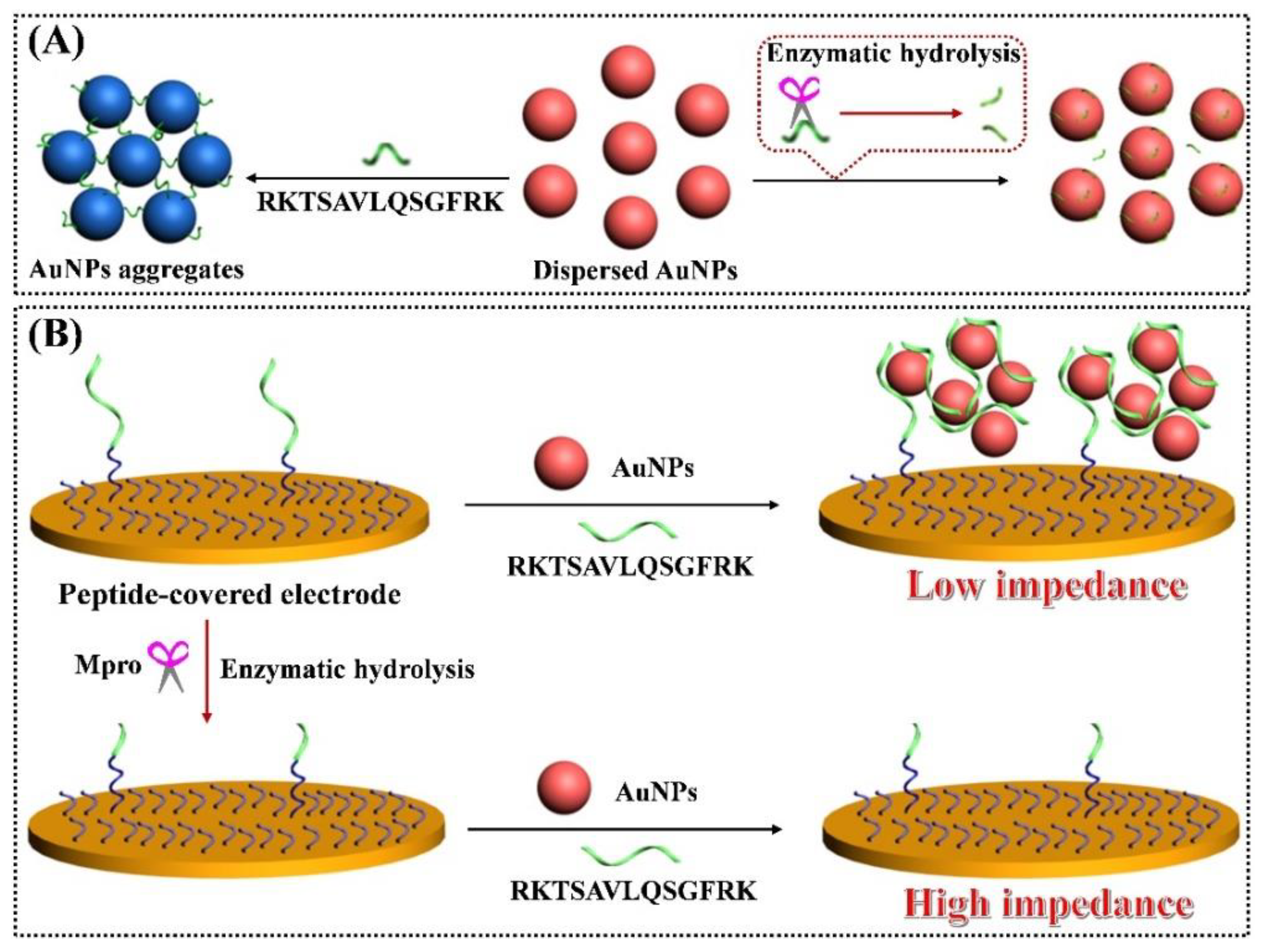 Molecules 27 00615 sch001