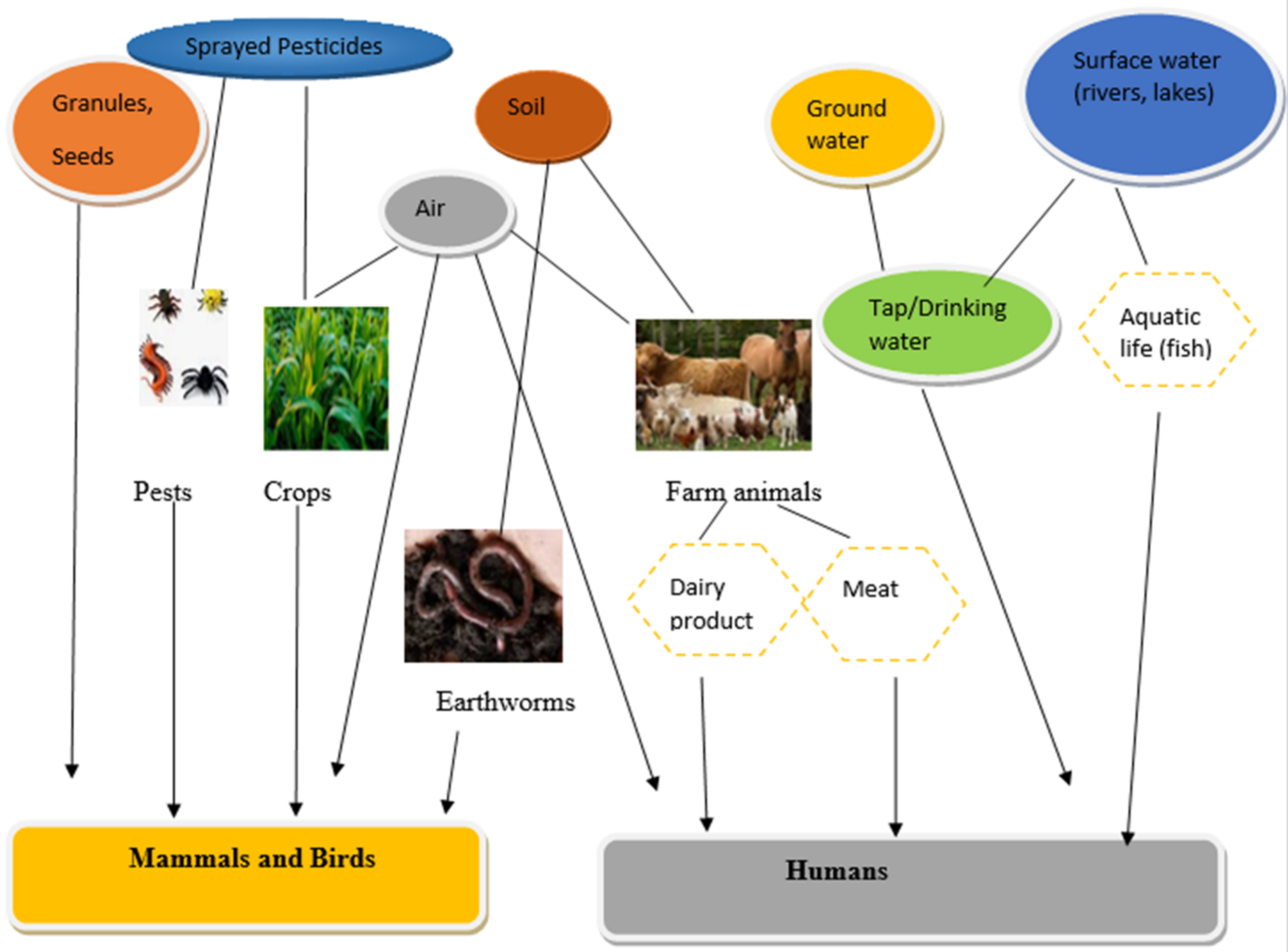 Molecules 27 00618 g005 Molecules 27 00618 g005