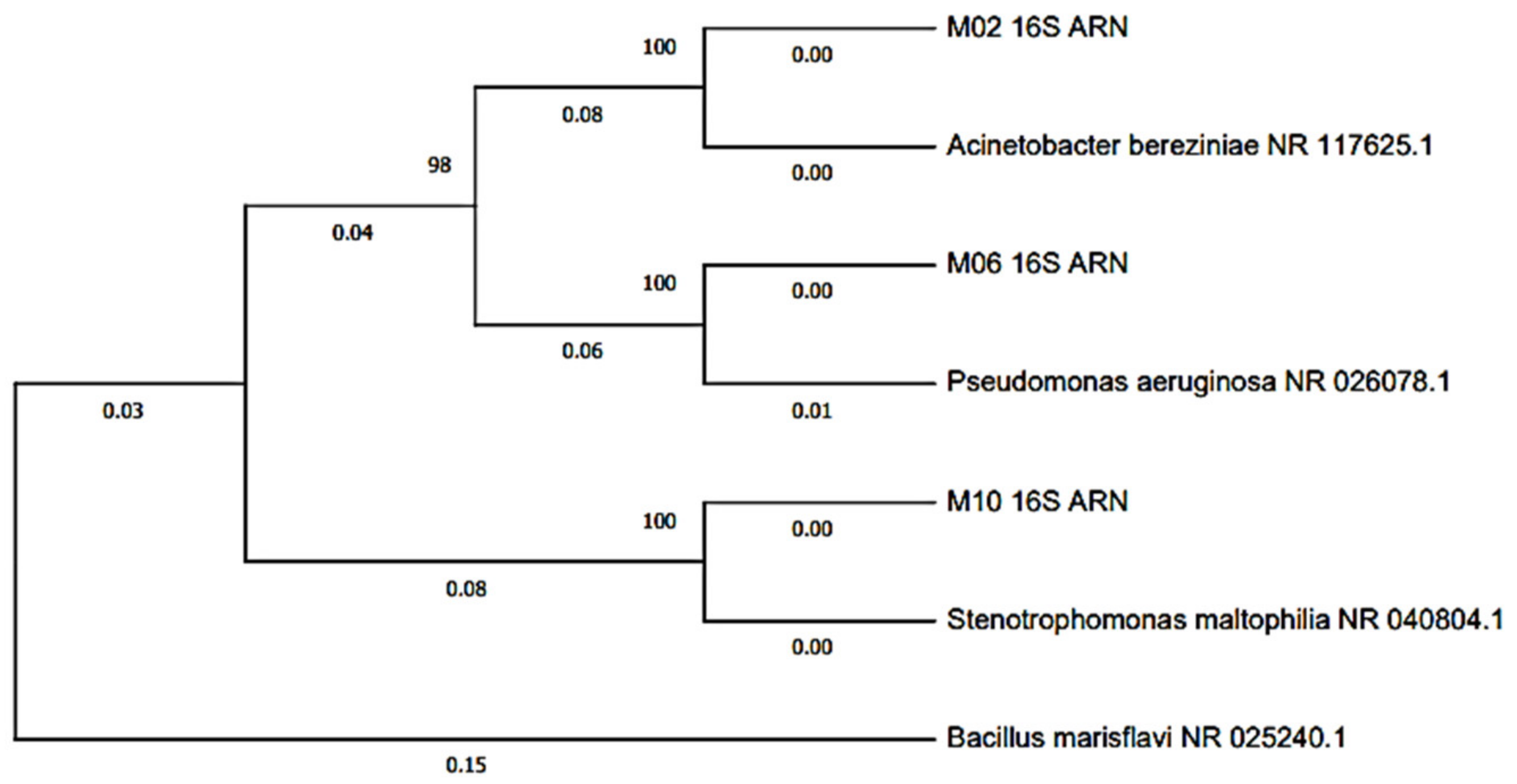 Molecules 27 00625 g006