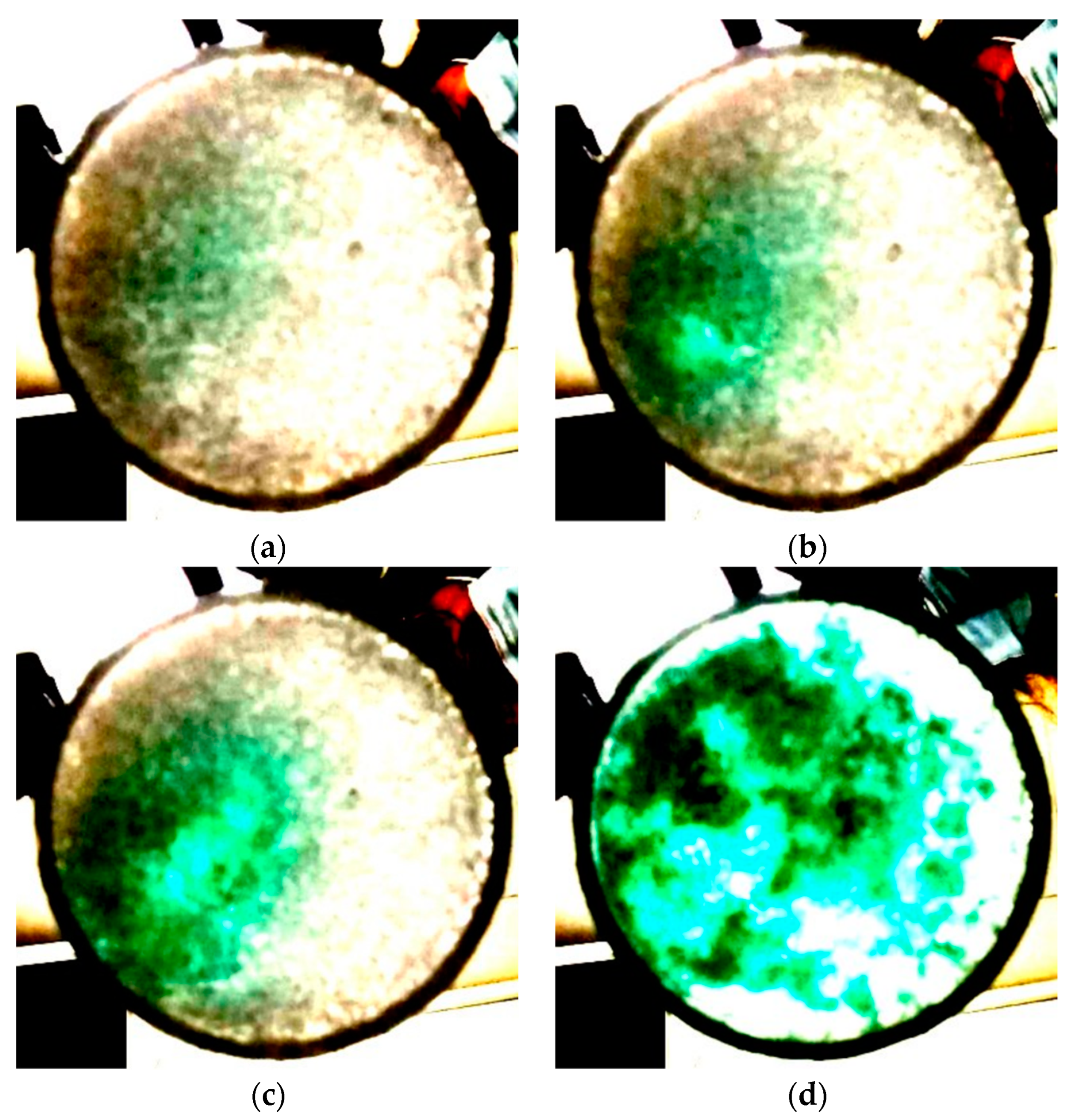 Molecules 27 00626 g002