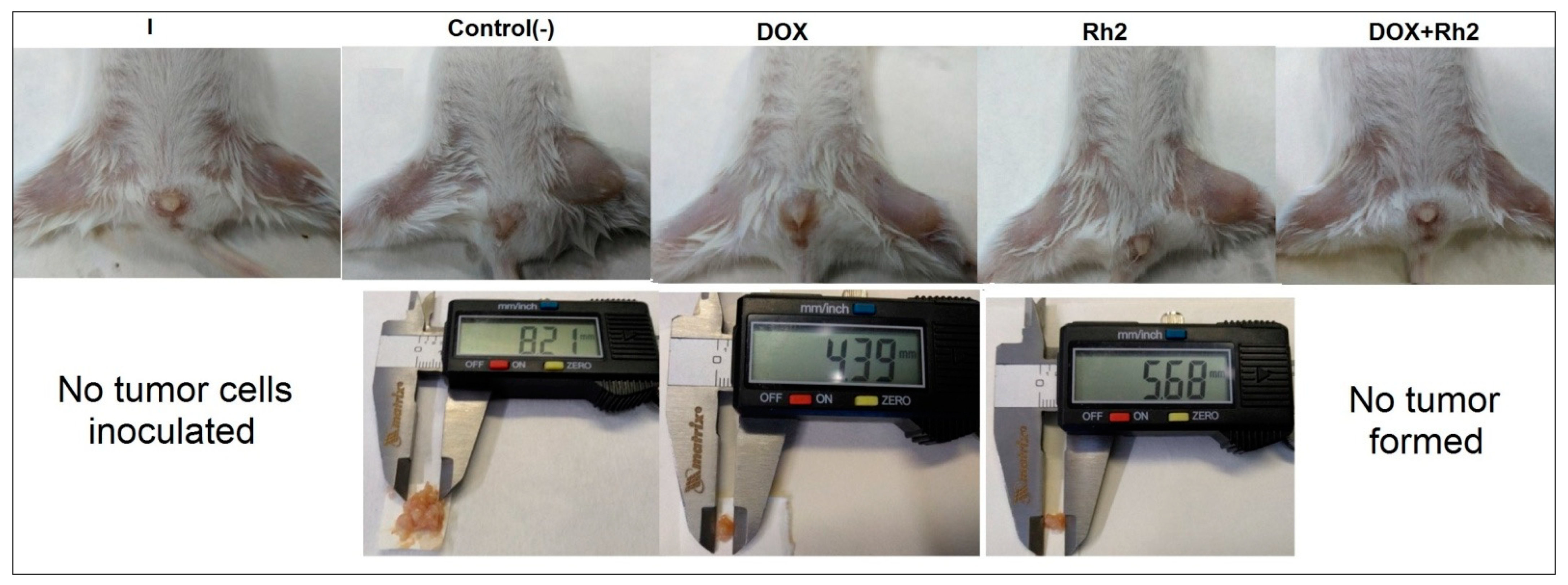 Molecules 27 00628 g003