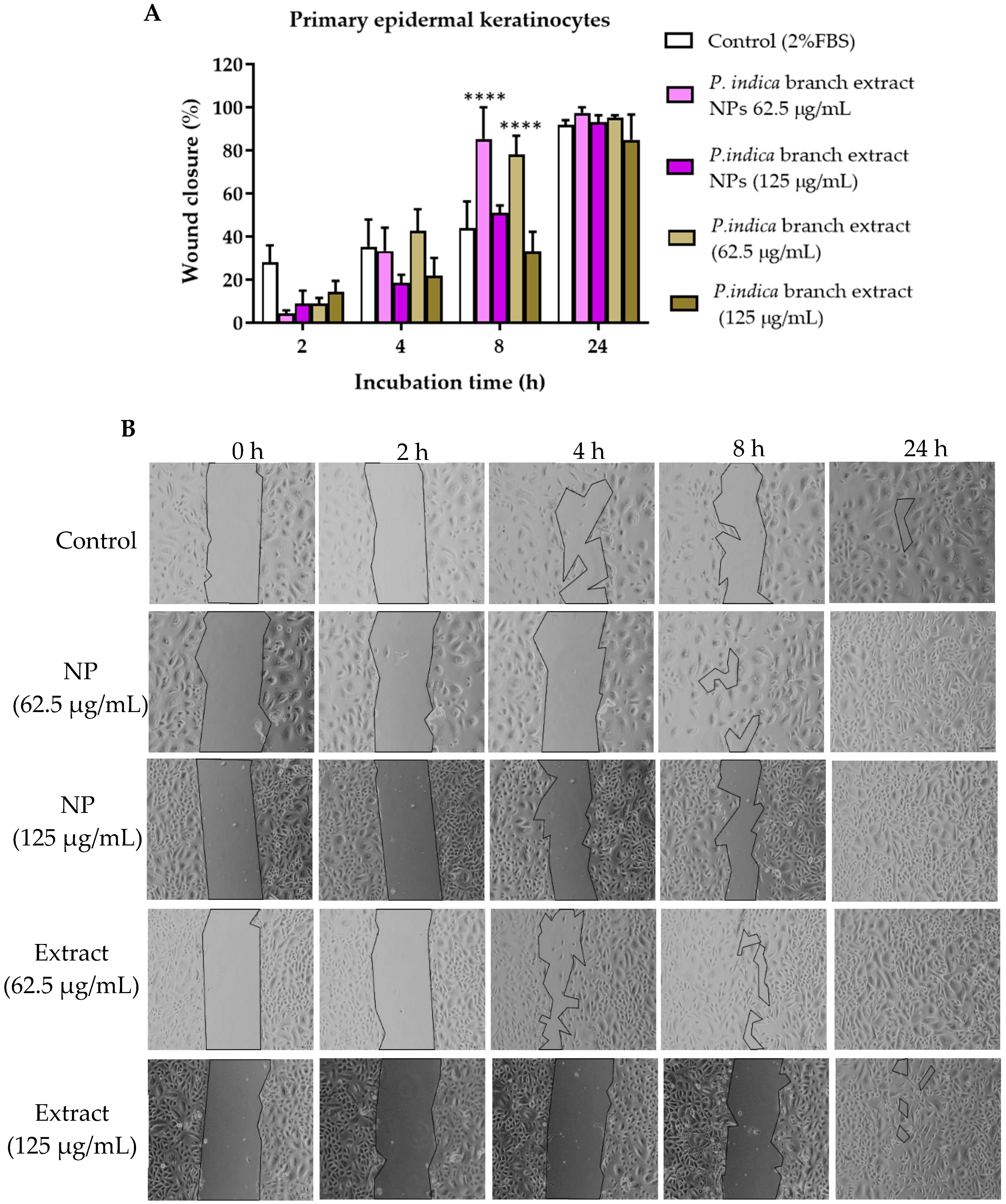 Molecules 27 00635 g007 550