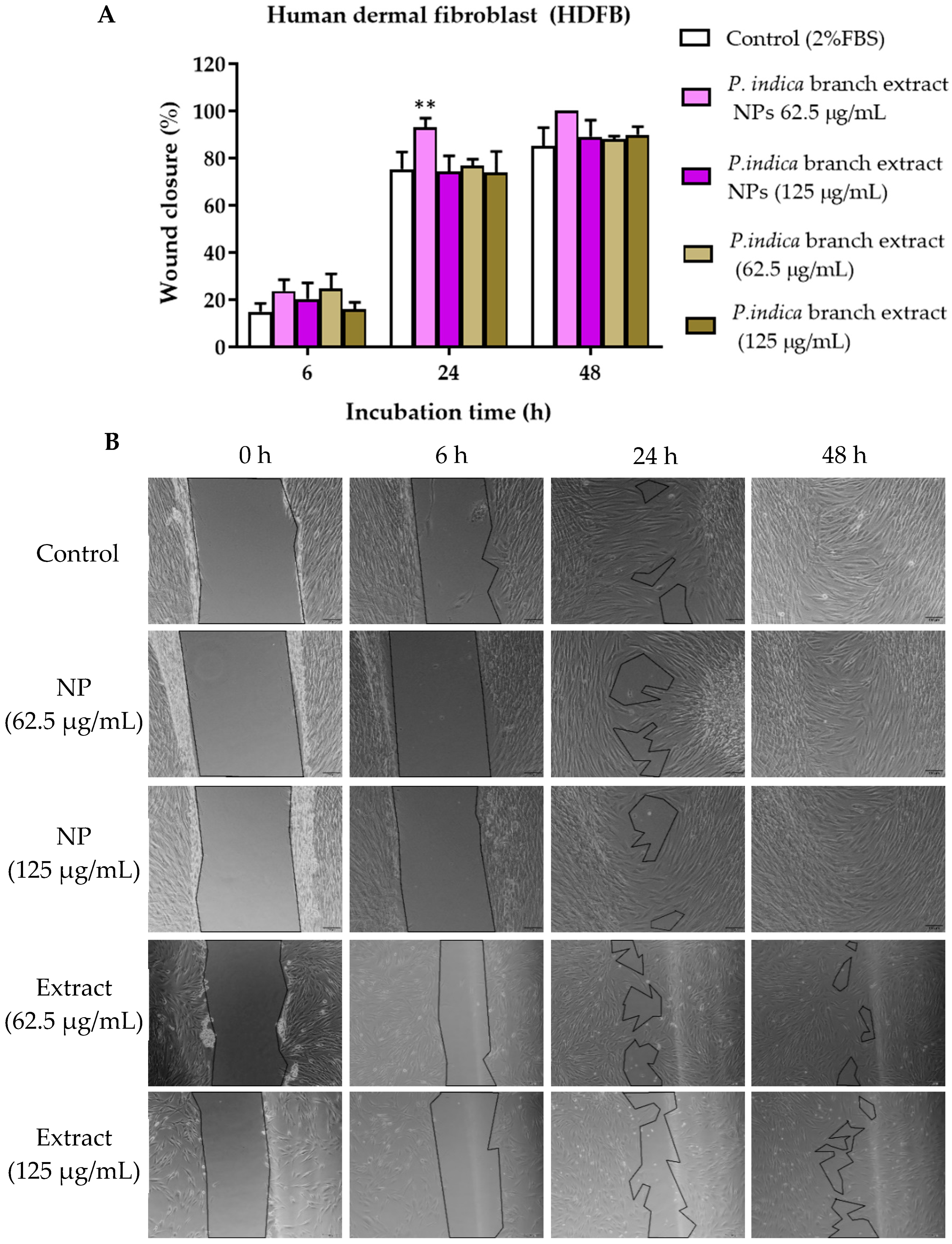 Molecules 27 00635 g008 550