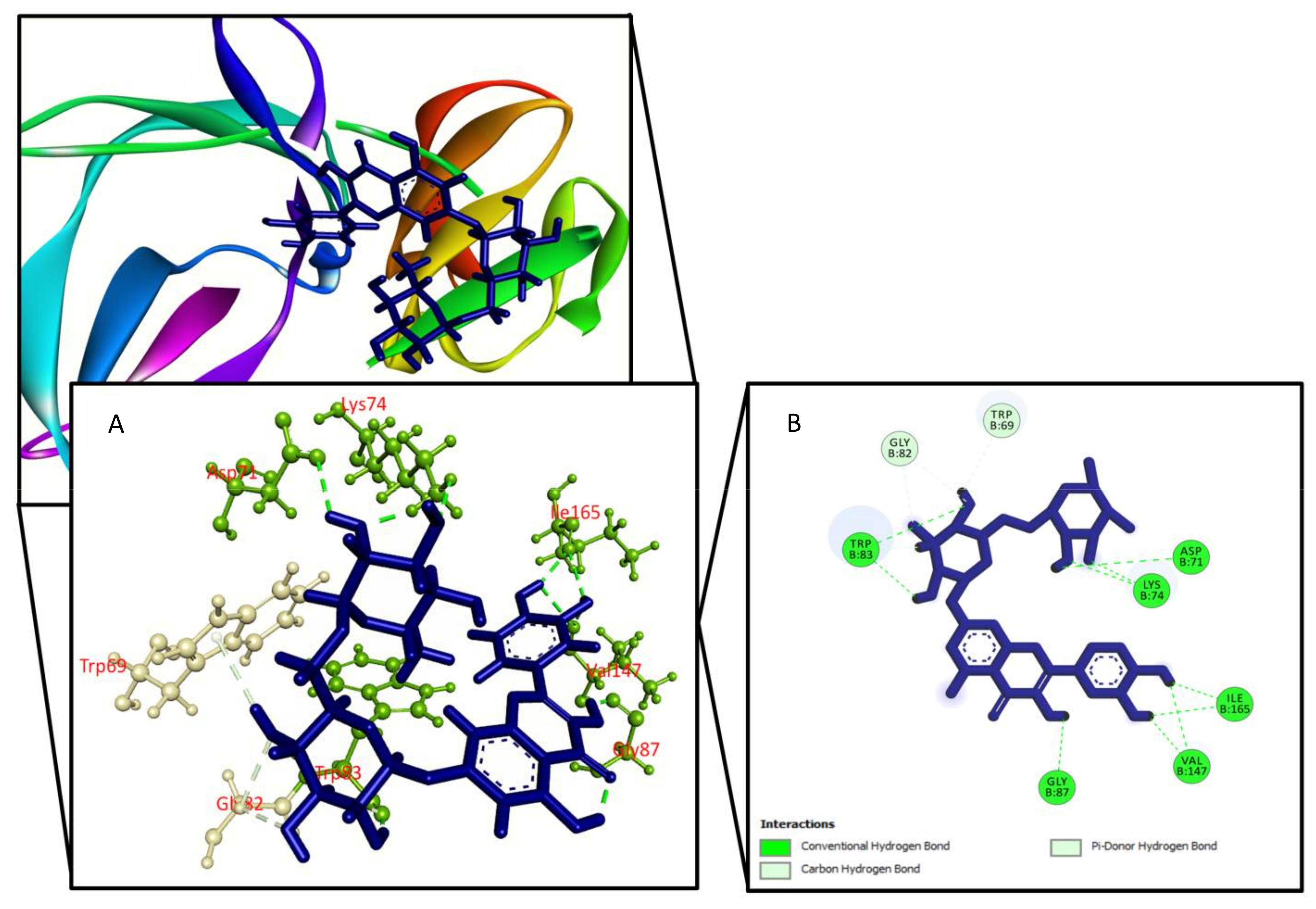 Molecules 27 00653 g003