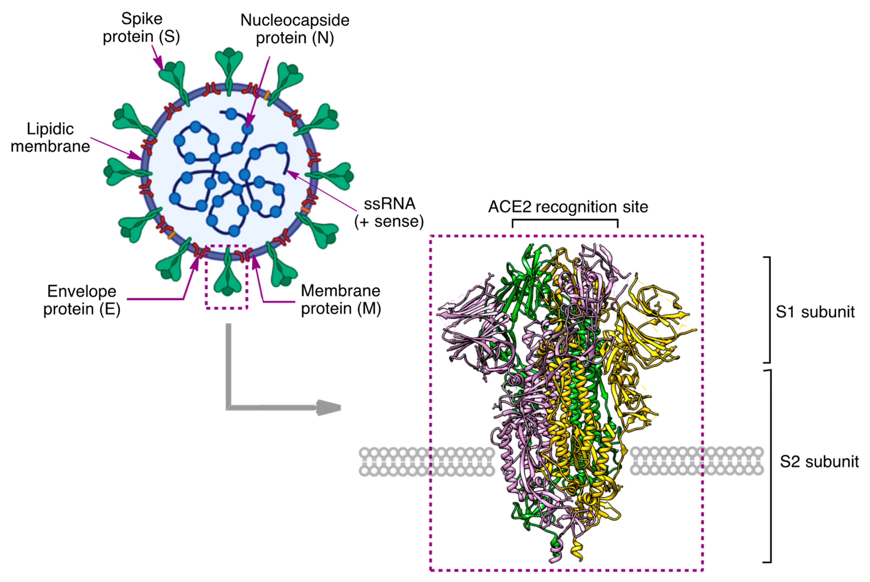Molecules 27 00658 g003