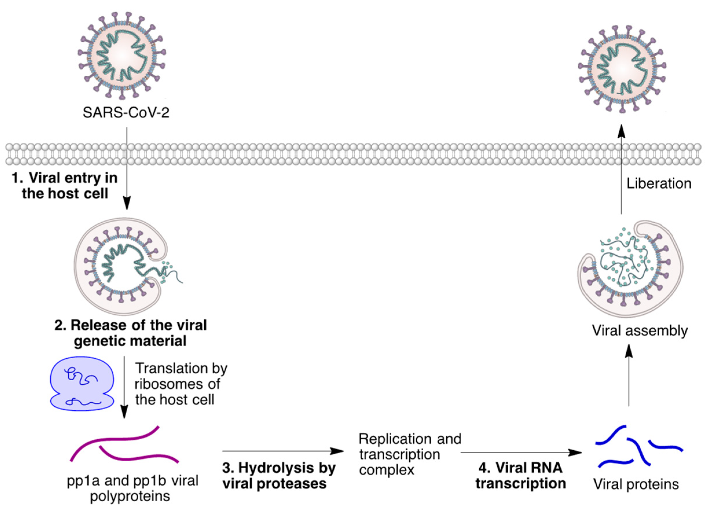 Molecules 27 00658 g004