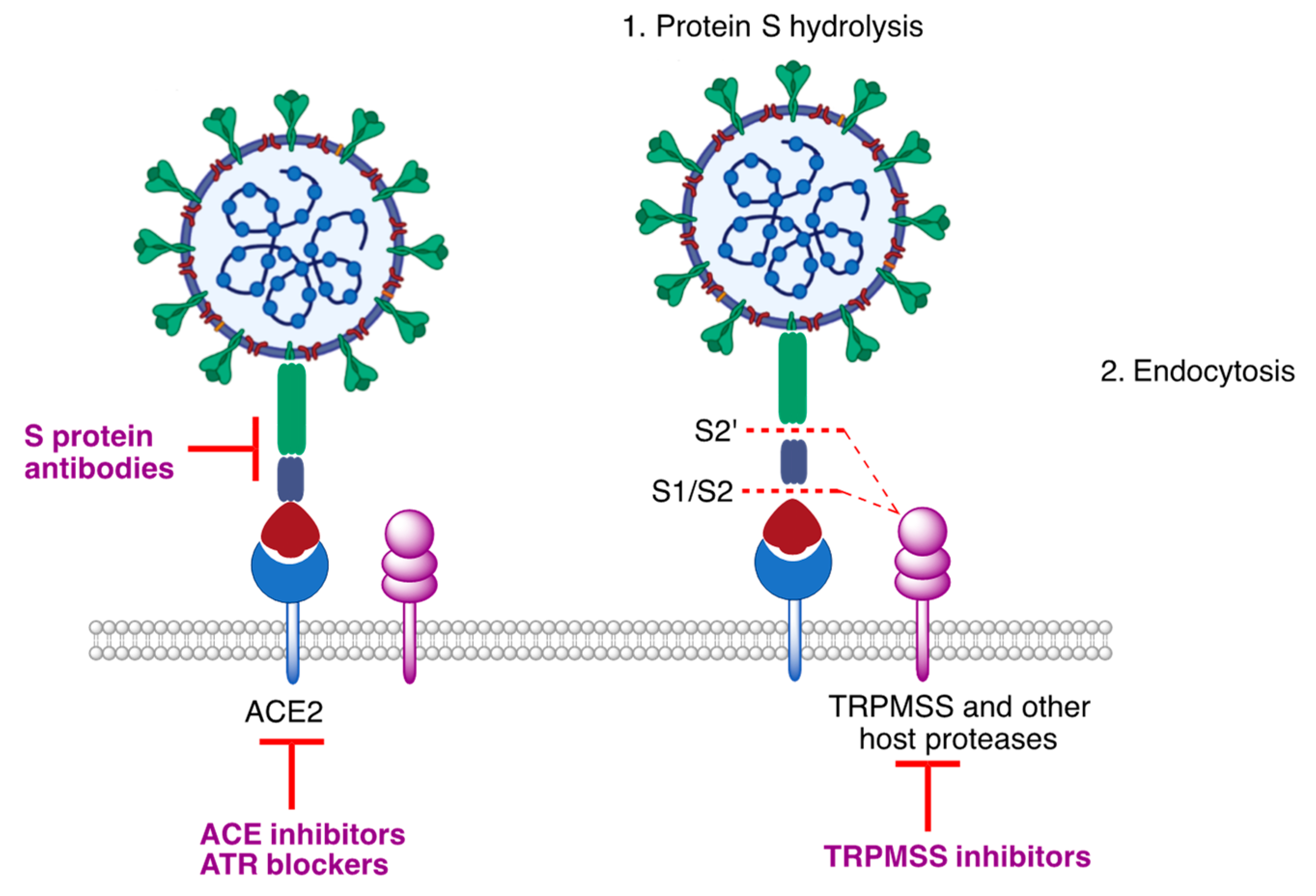 Molecules 27 00658 g005