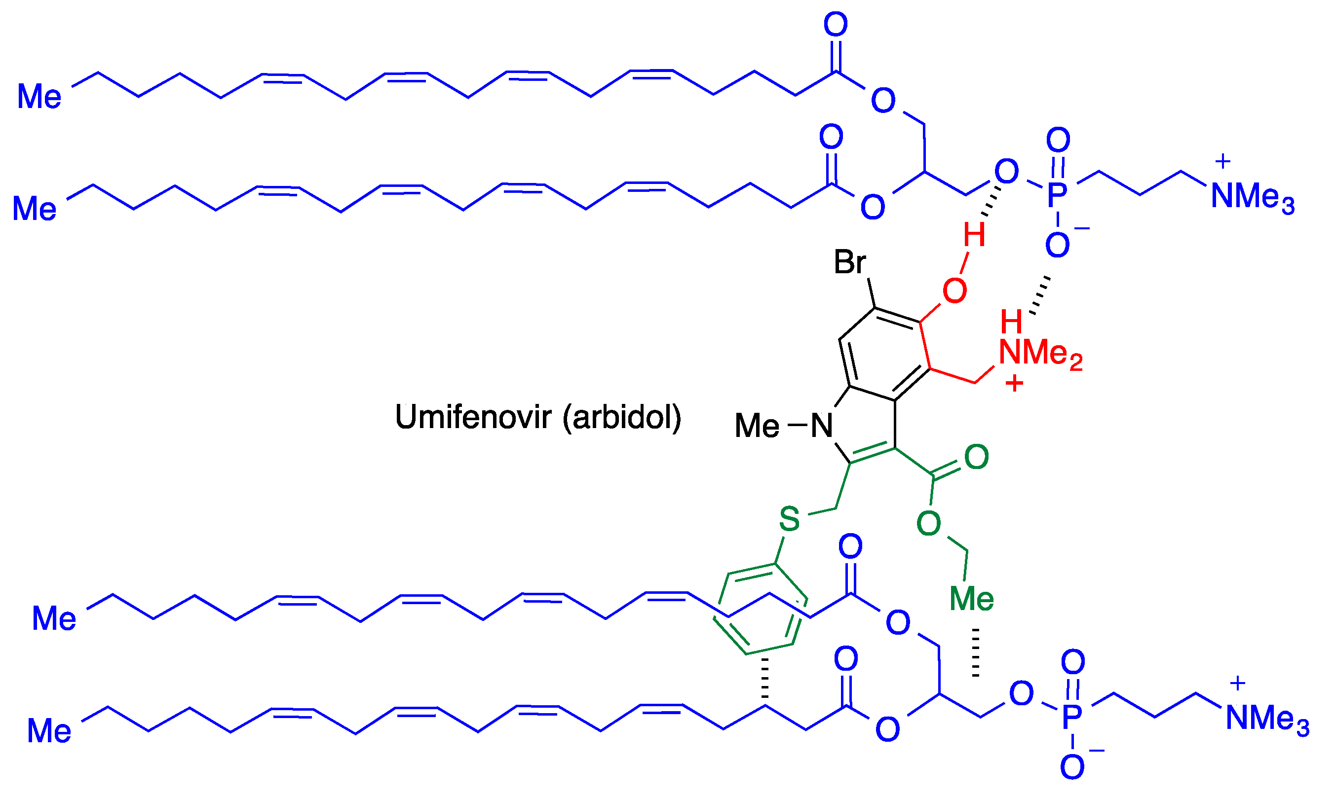 Molecules 27 00658 g011