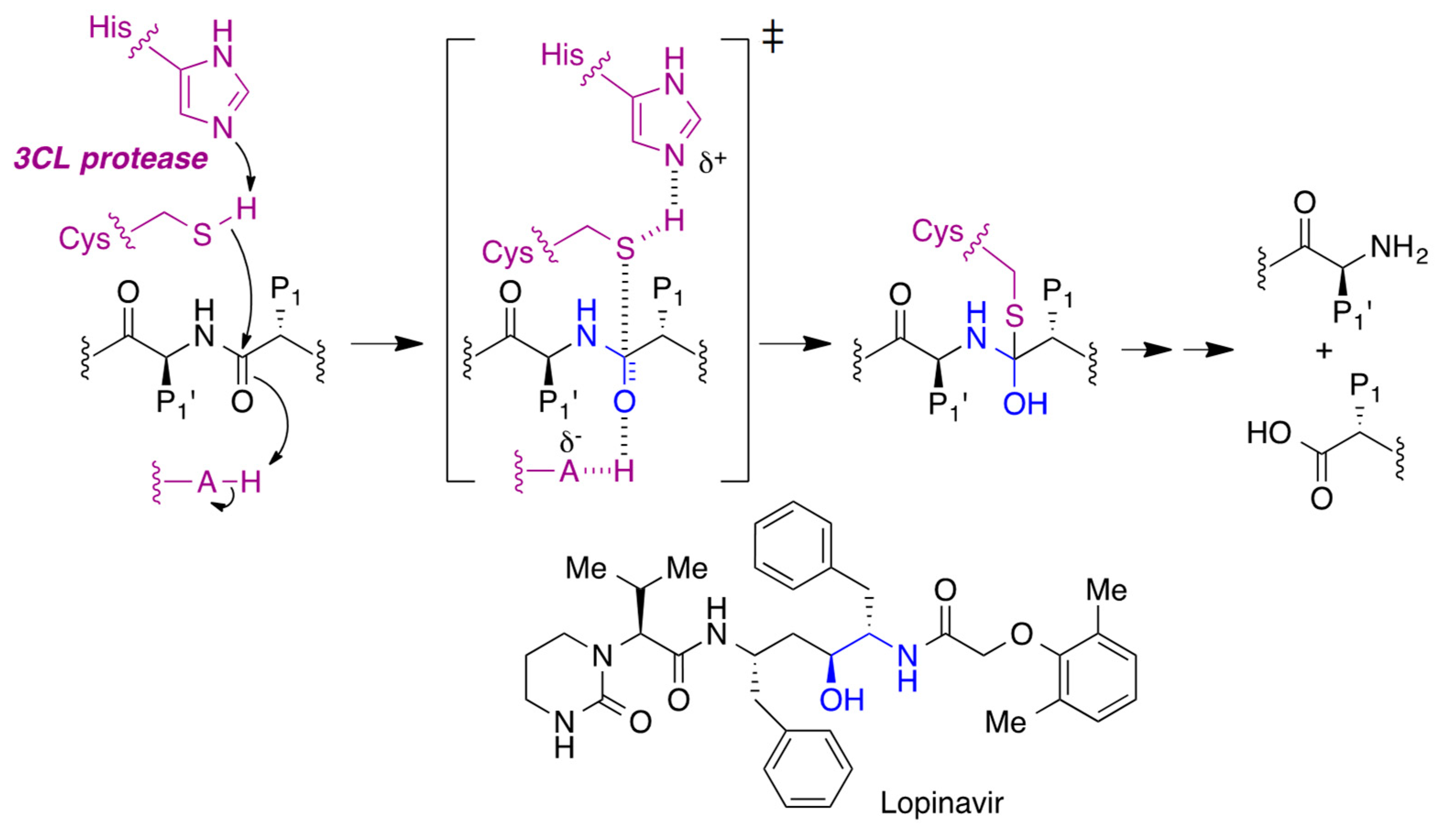 Molecules 27 00658 g012