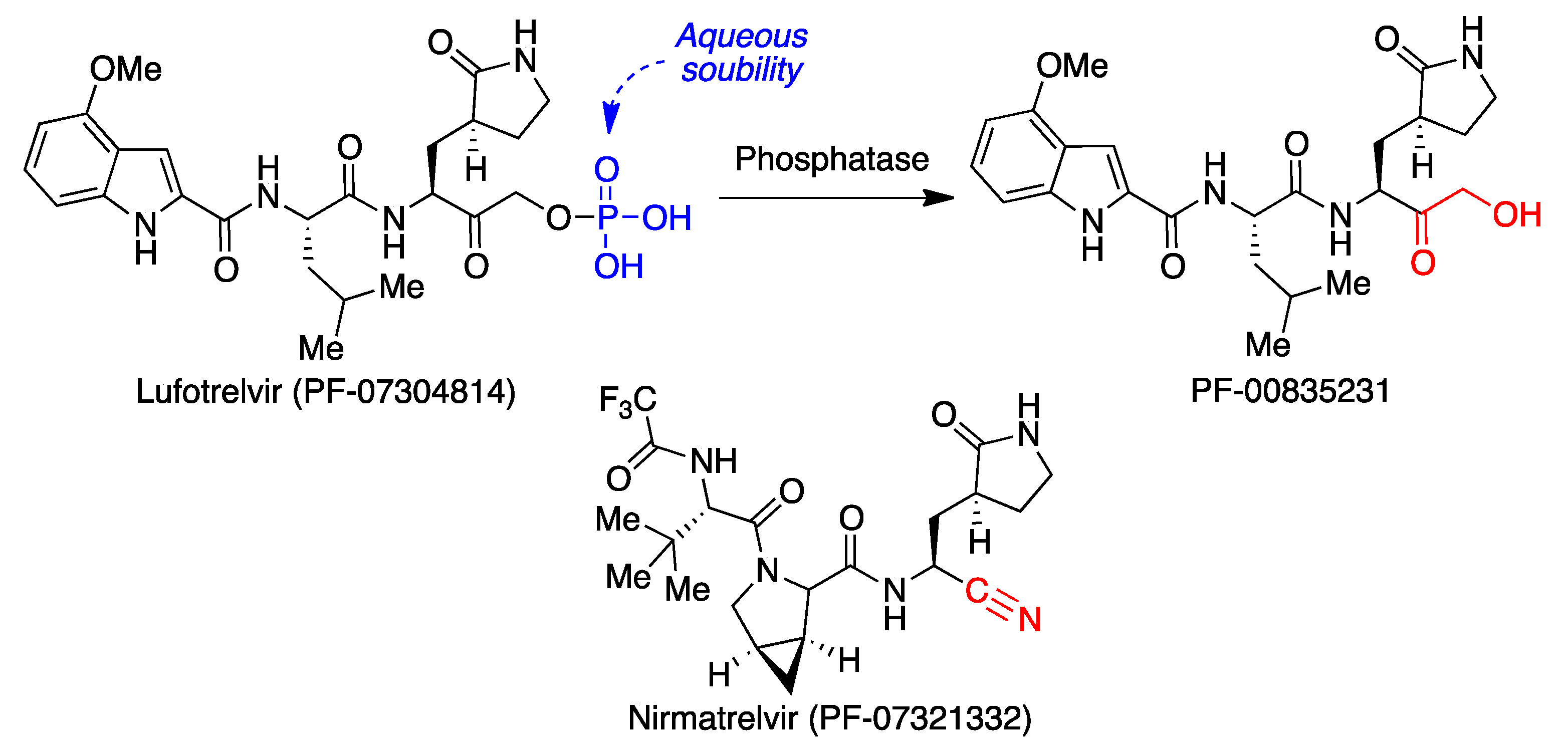Molecules 27 00658 g014