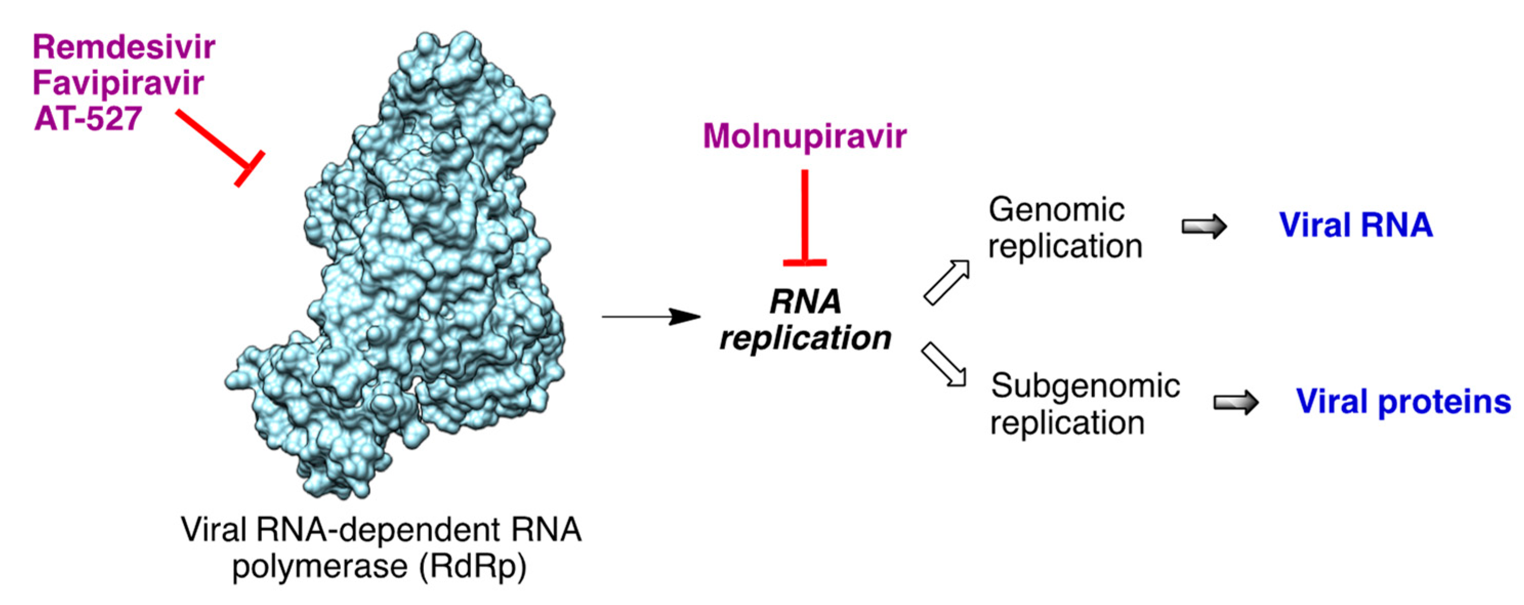 Molecules 27 00658 g016