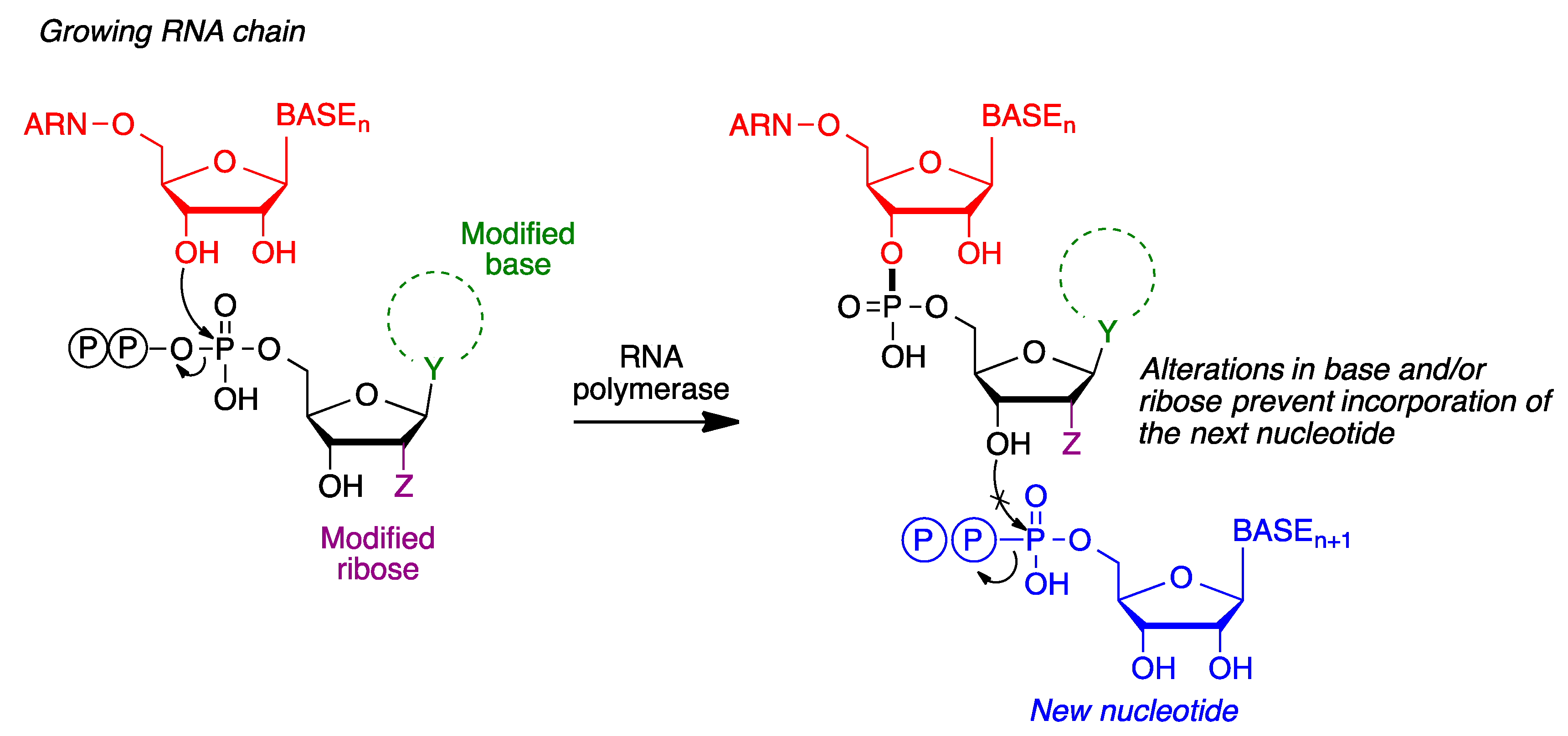 Molecules 27 00658 g017