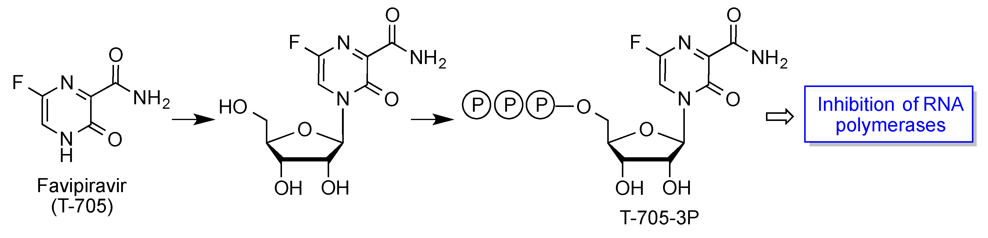 Molecules 27 00658 g021