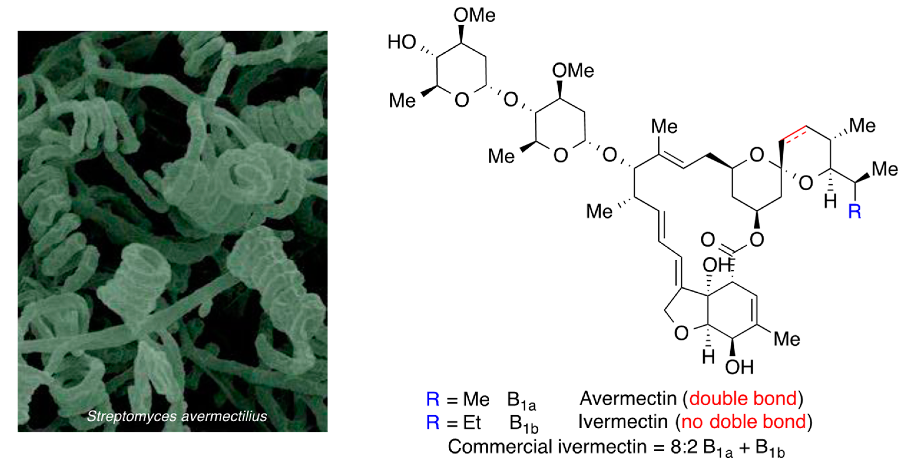 Molecules 27 00658 g025