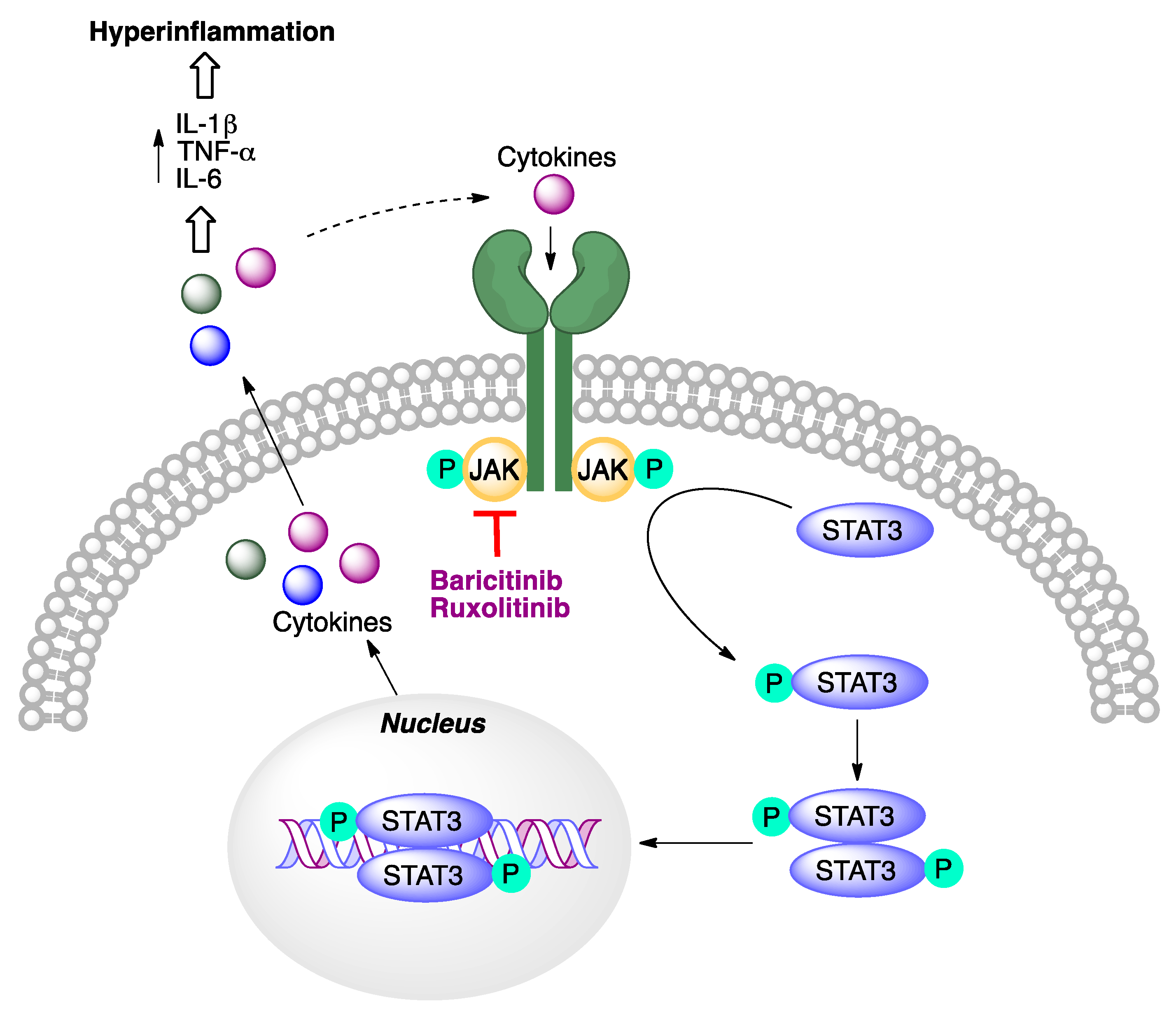 Molecules 27 00658 g027