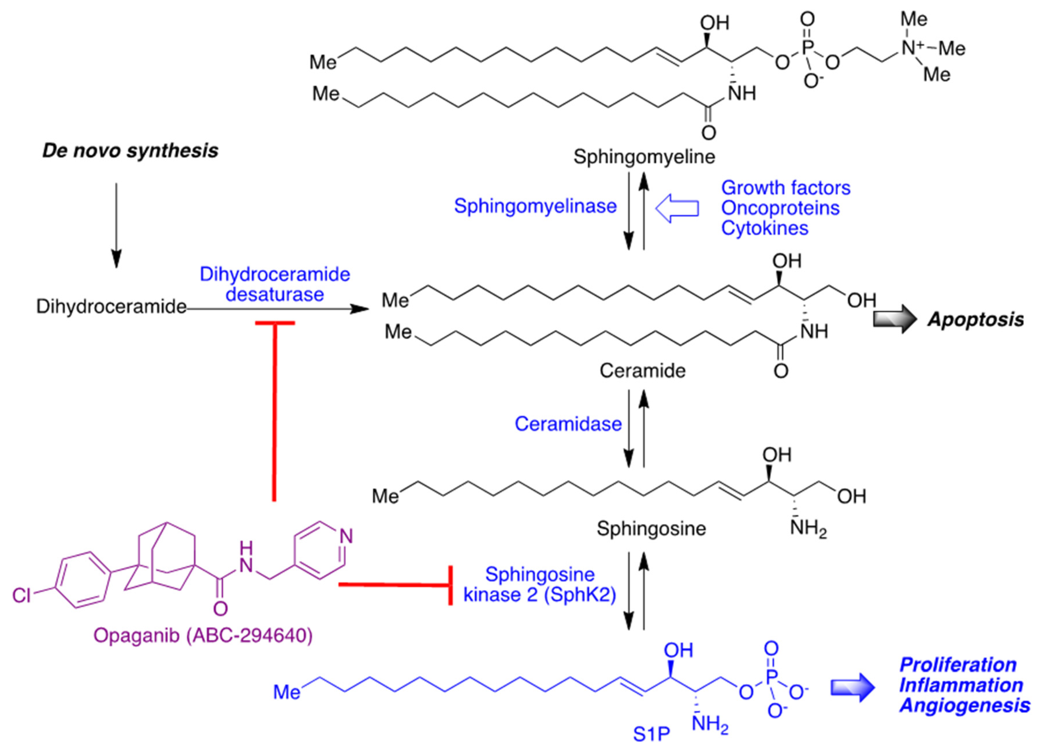 Molecules 27 00658 g028