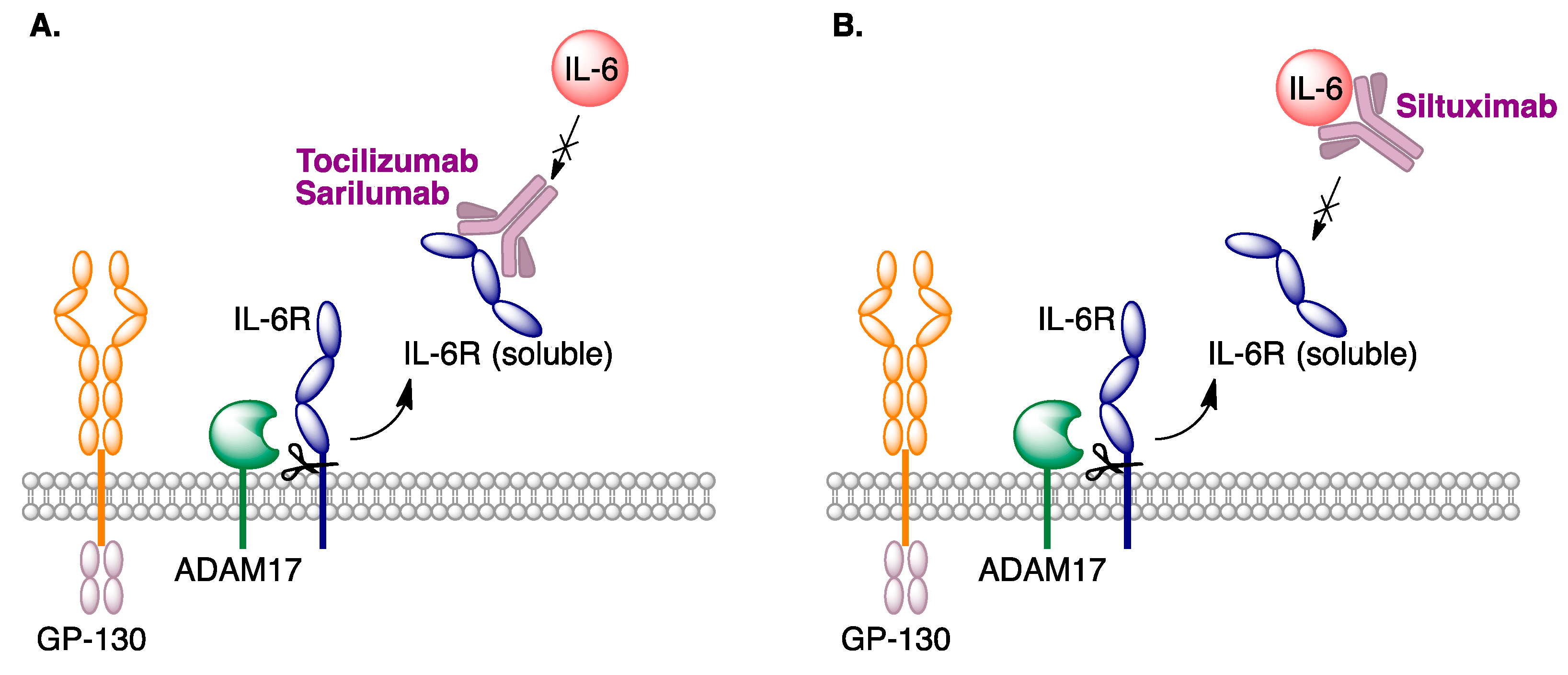 Molecules 27 00658 g031