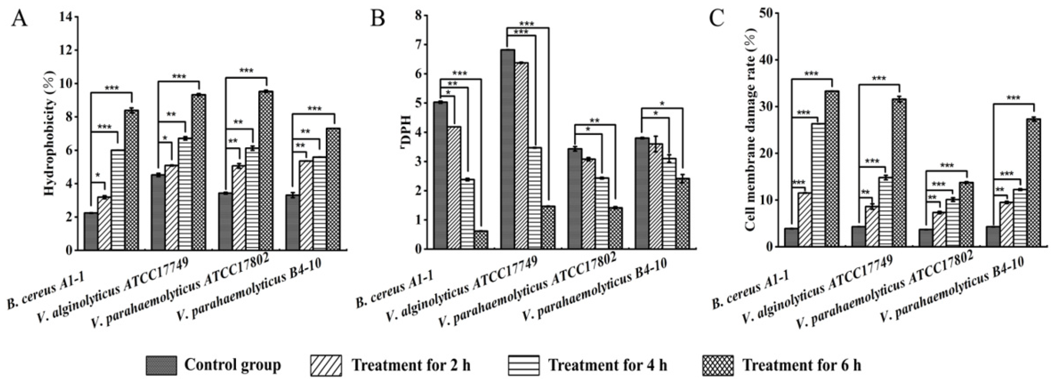 Molecules 27 00660 g004