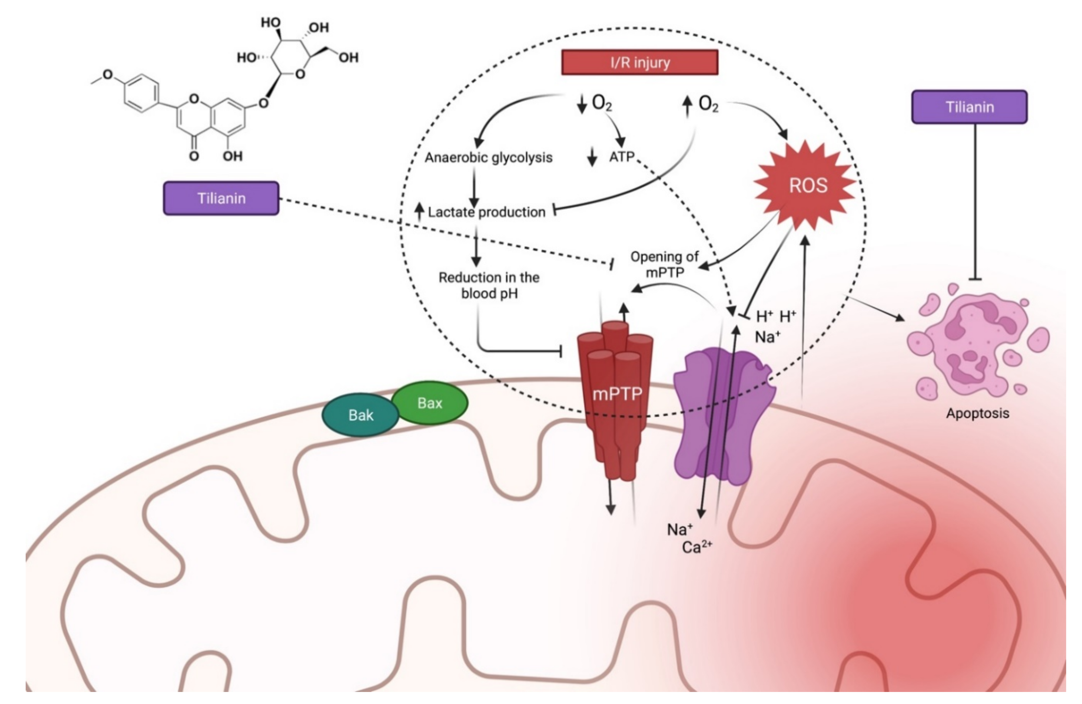 Molecules 27 00673 g003 550