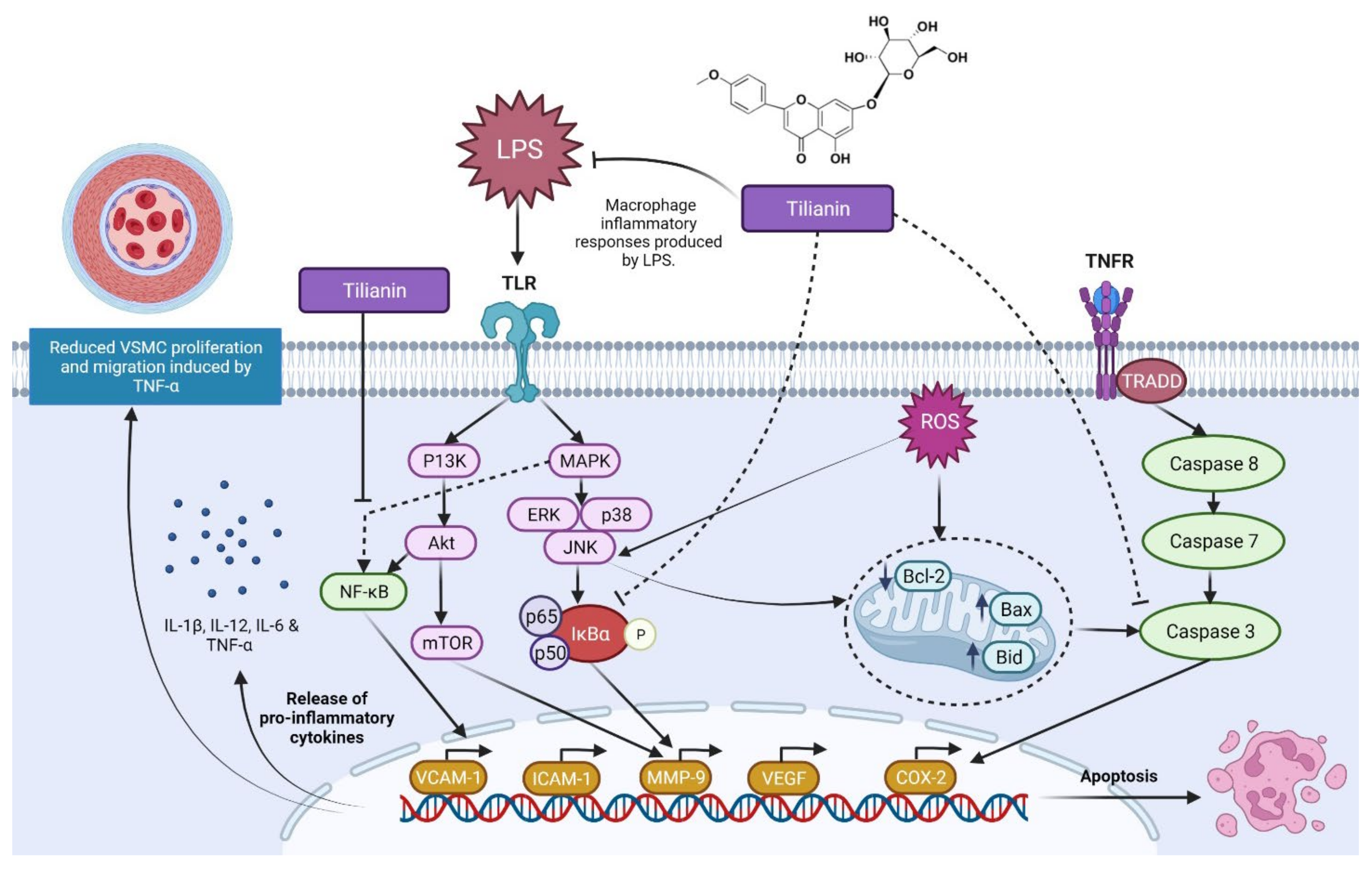 Molecules 27 00673 g005 550