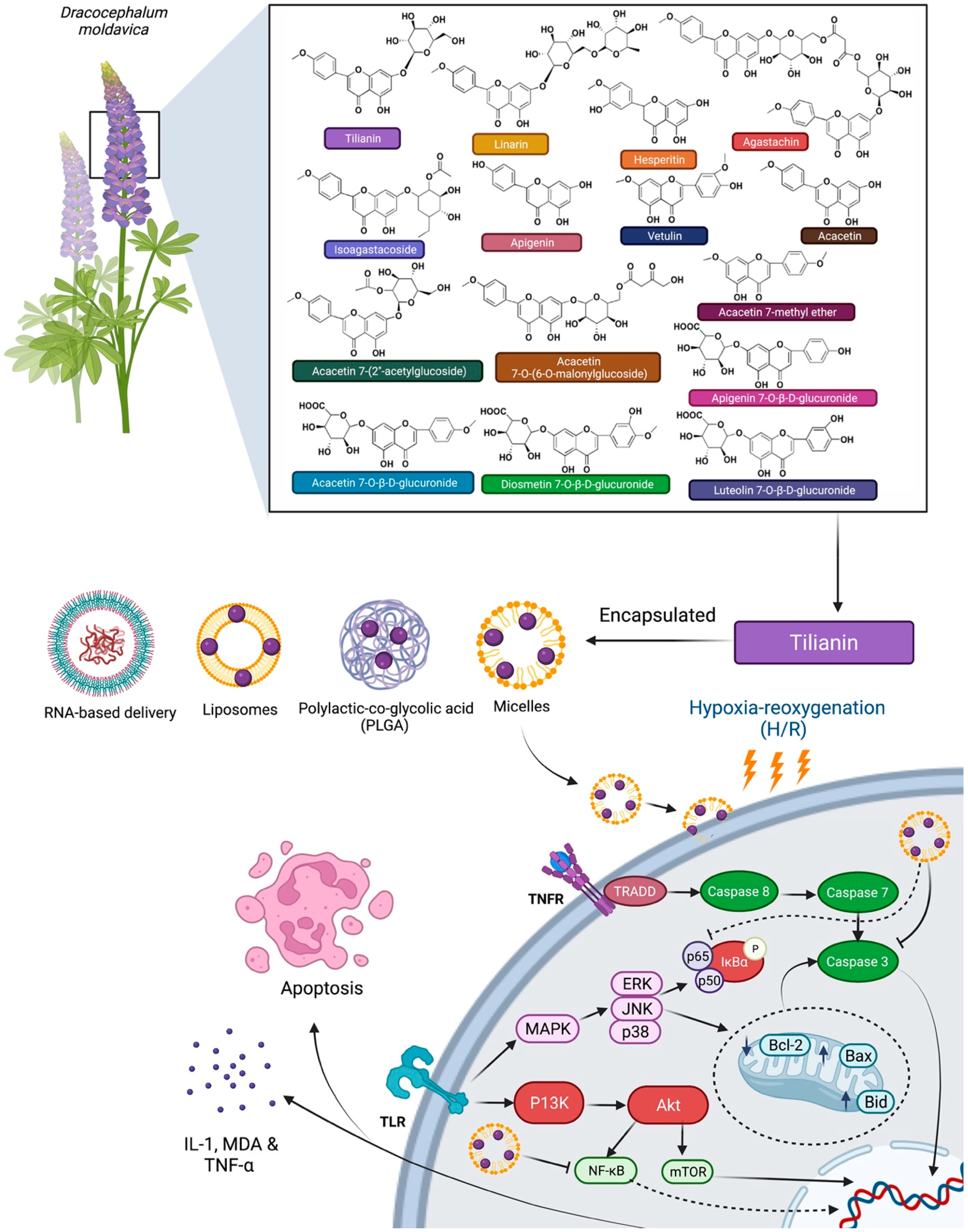Molecules 27 00673 g009 550