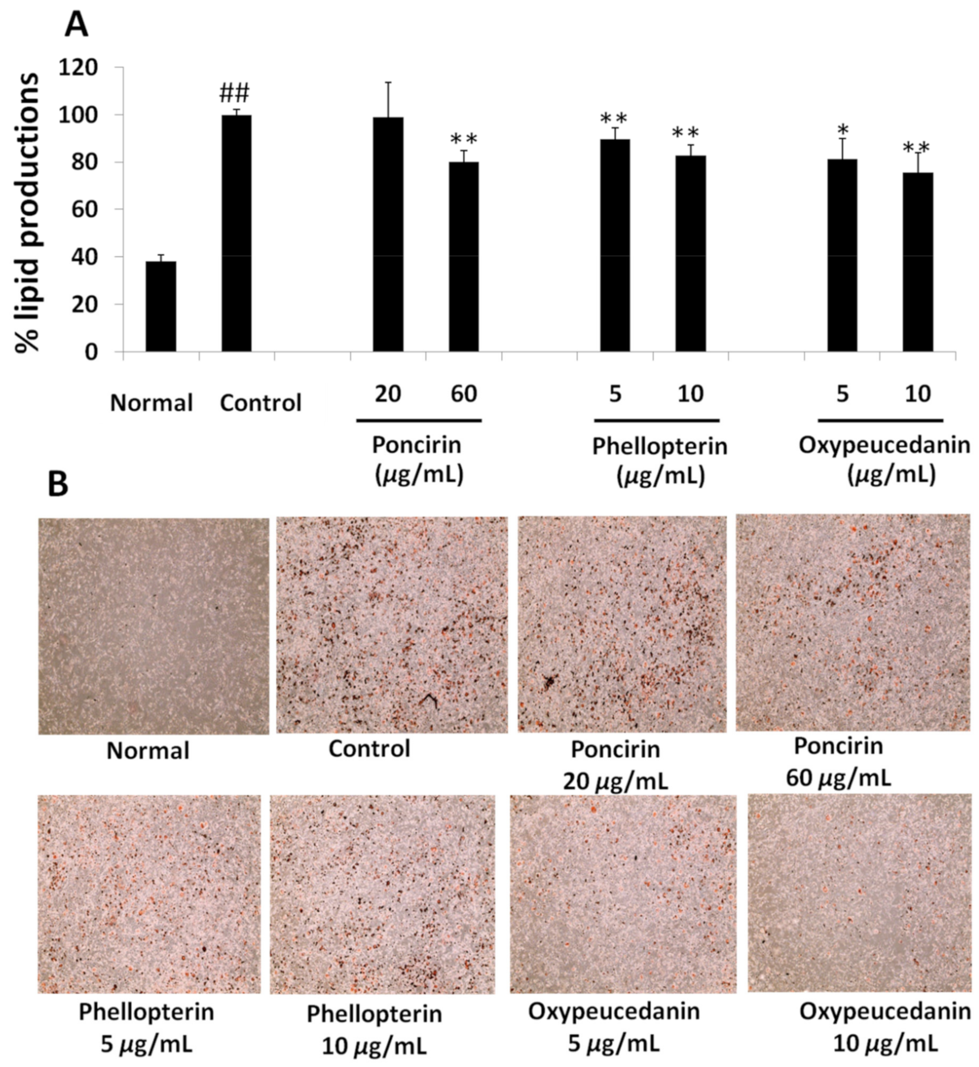 Molecules 27 00676 g006