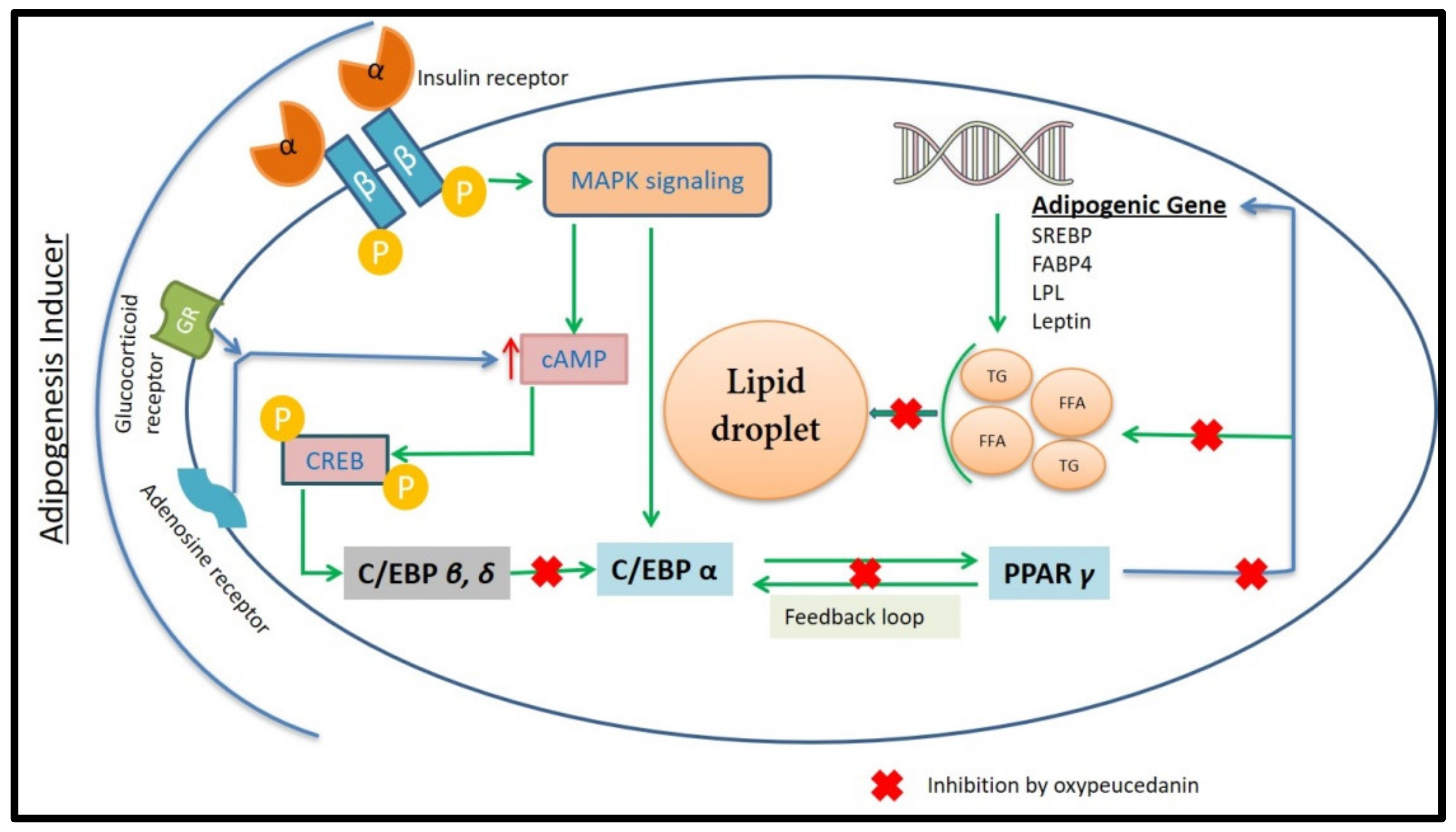 Molecules 27 00676 g009