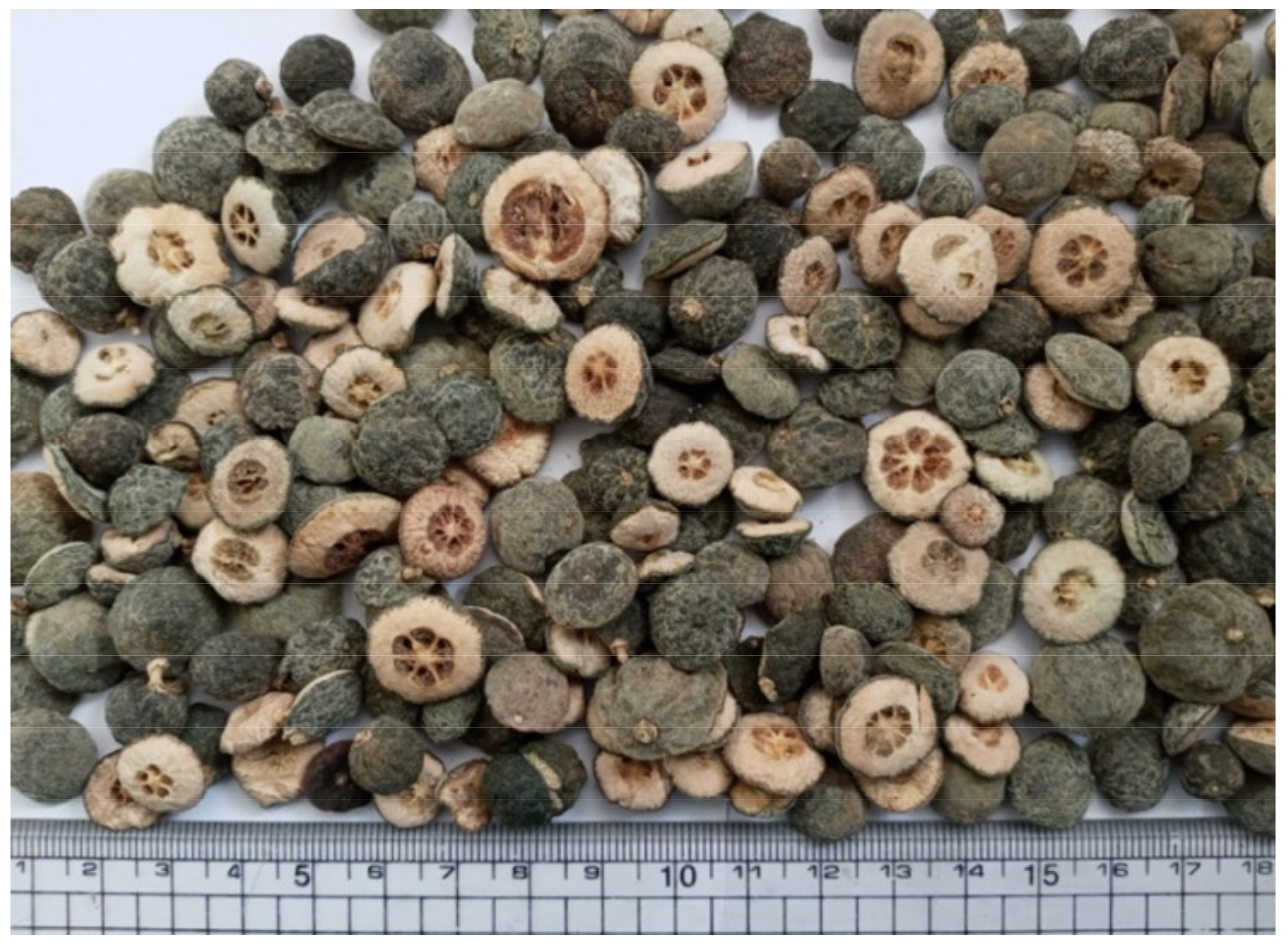 Molecules 27 00676 g010