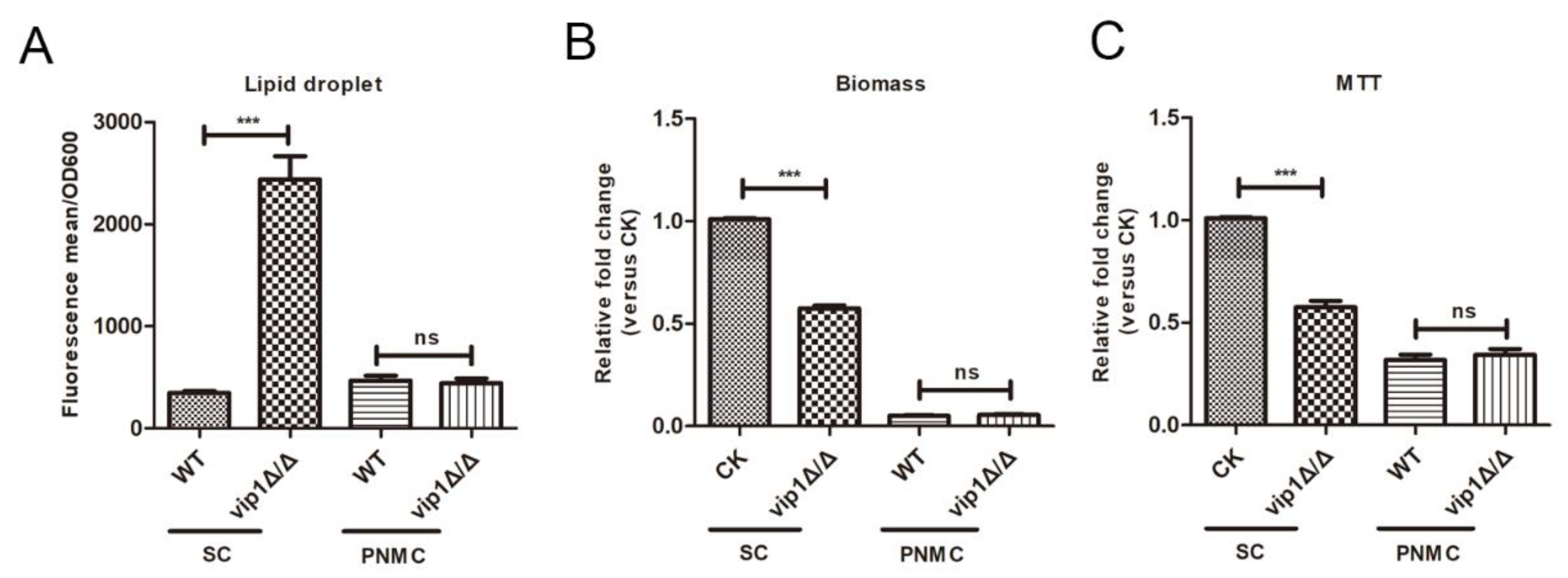 Molecules 27 00686 g002 Molecules 27 00686 g002