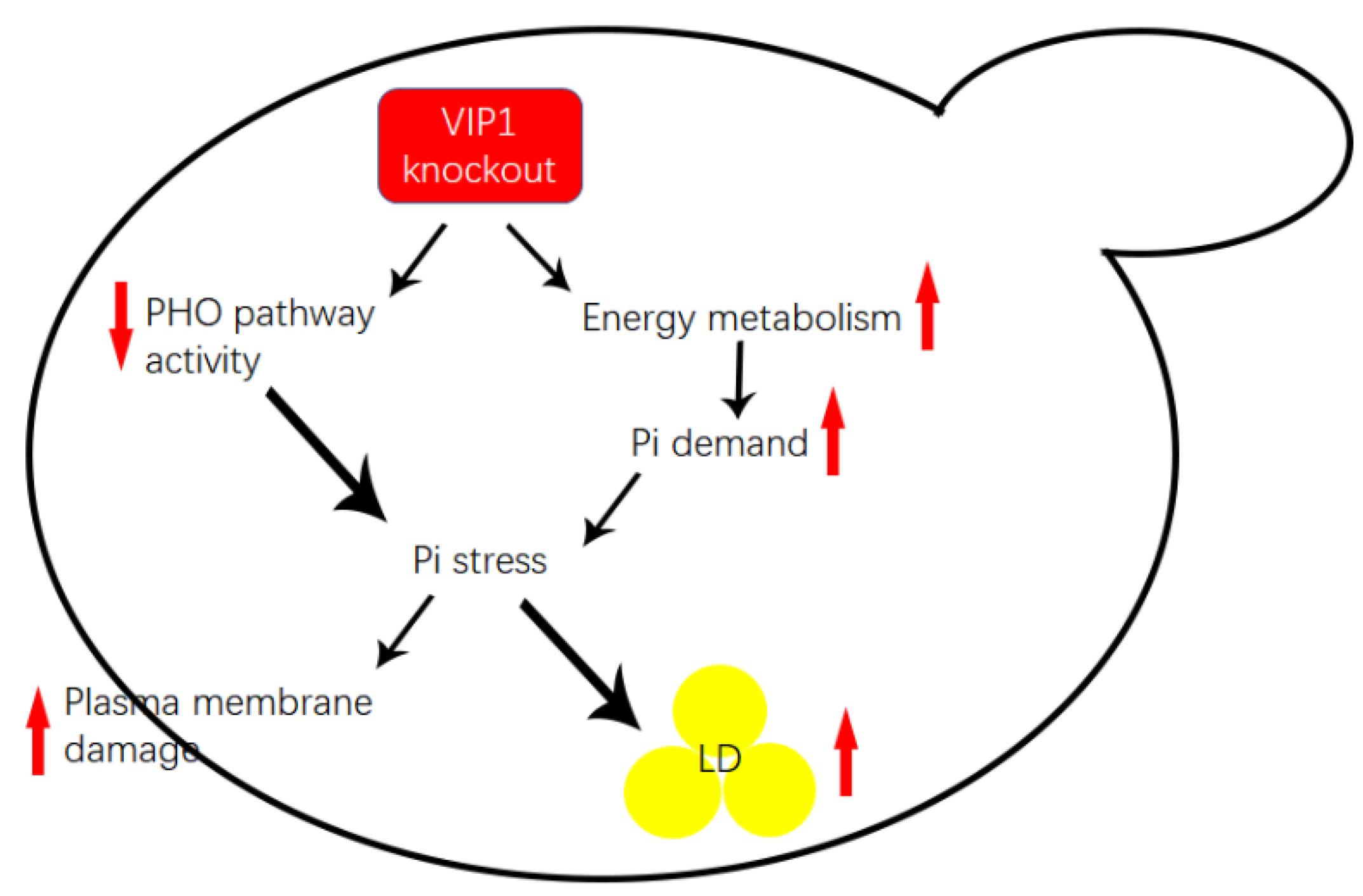 Molecules 27 00686 g005 Molecules 27 00686 g005