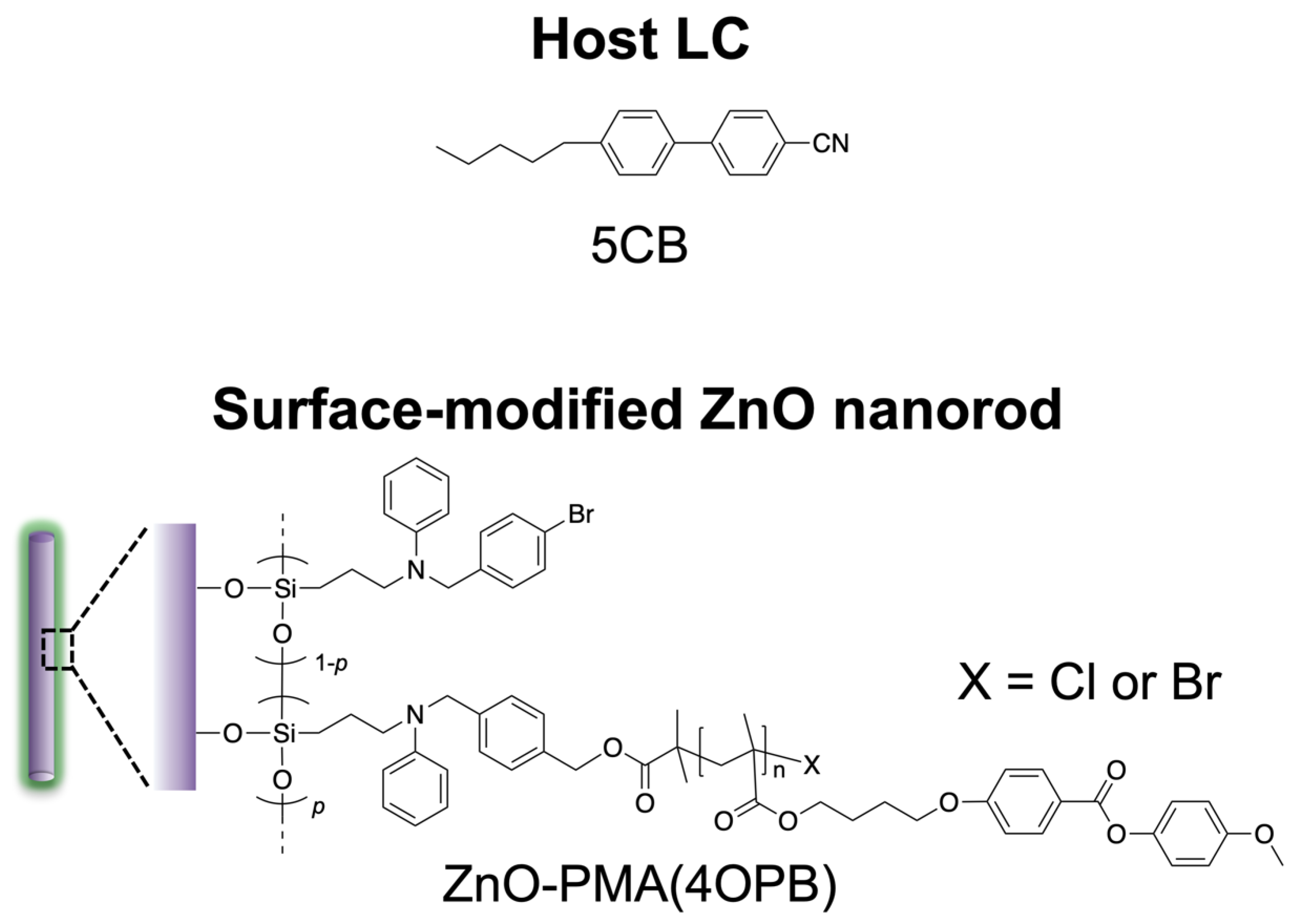 Molecules 27 00689 g001 Molecules 27 00689 g001