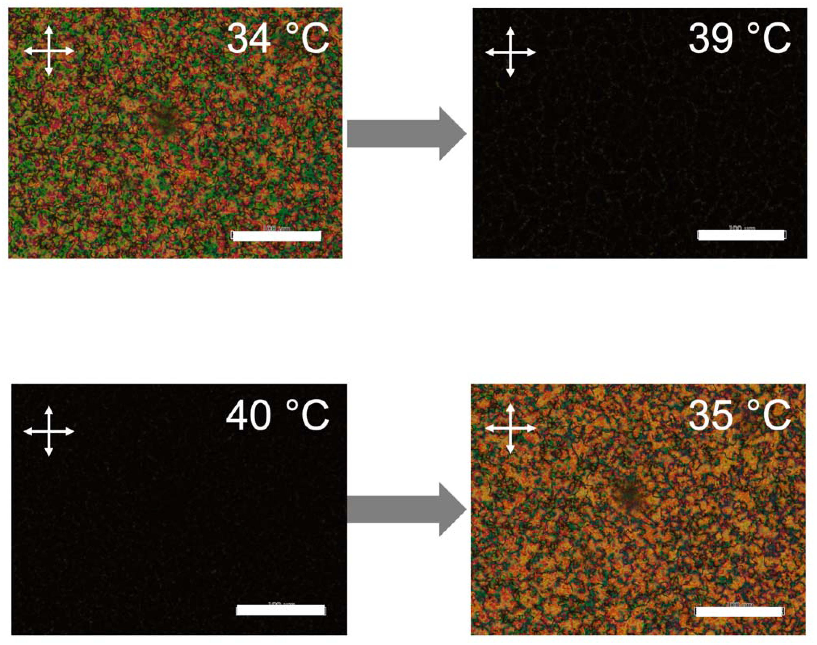 Molecules 27 00689 g003 Molecules 27 00689 g003