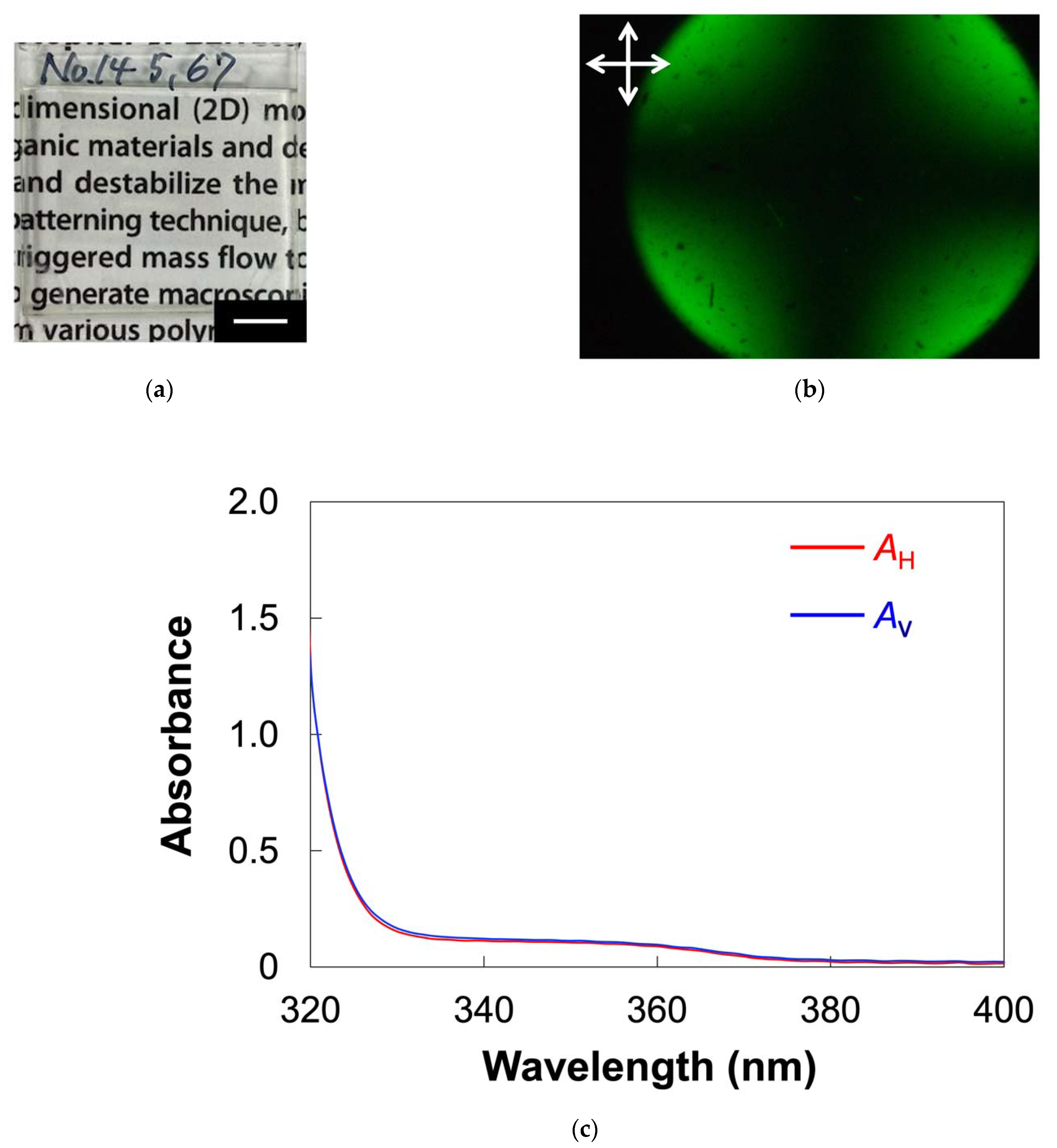 Molecules 27 00689 g005 Molecules 27 00689 g005
