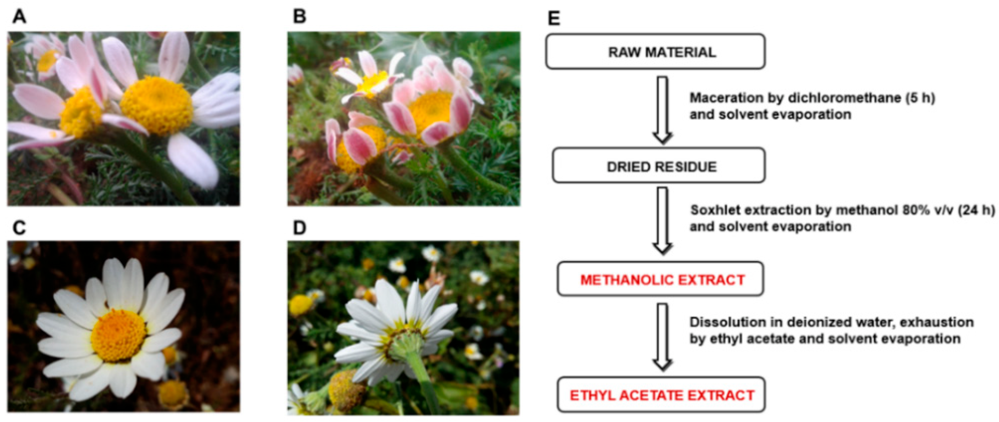 Molecules 27 00692 g002 550