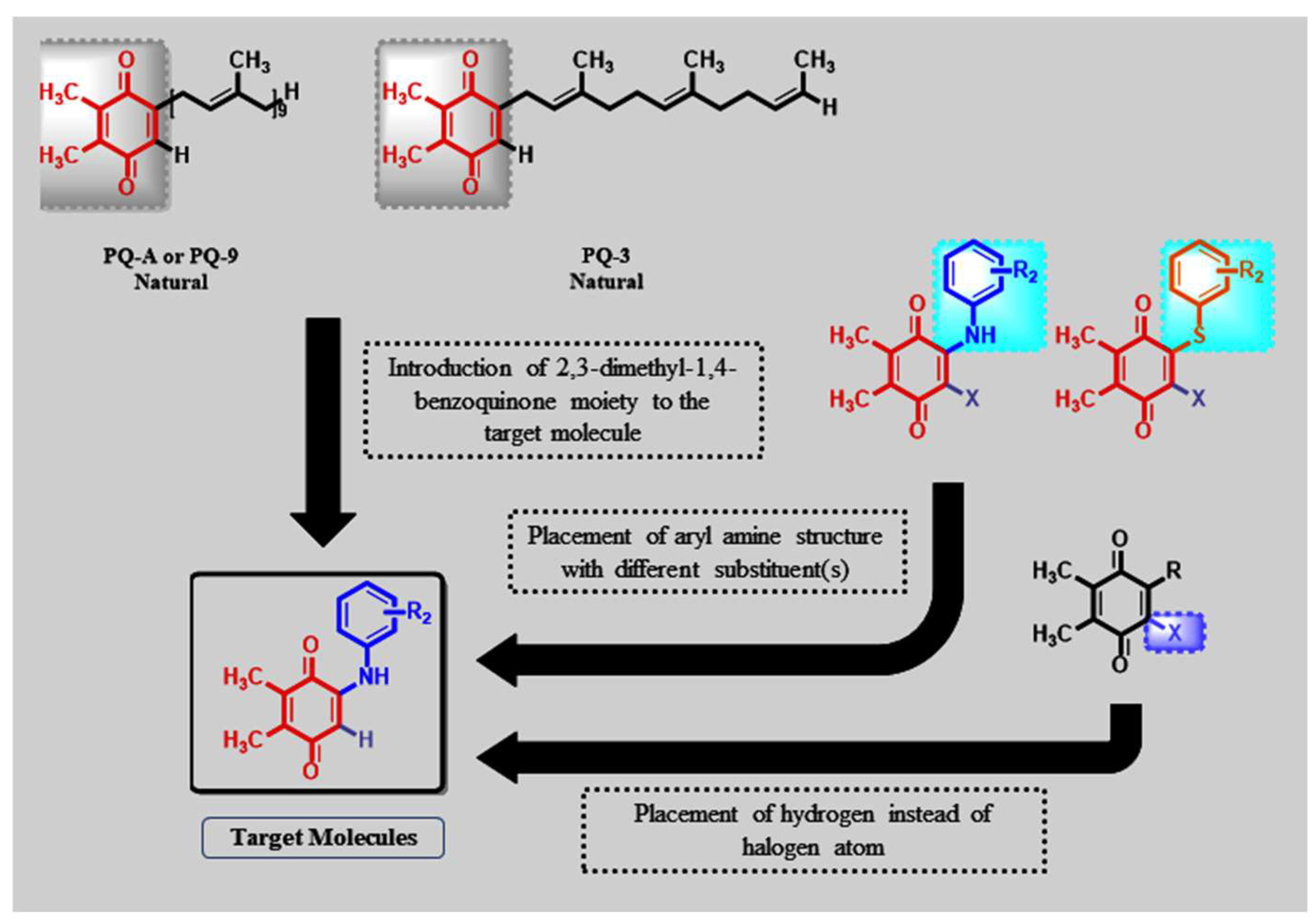 Molecules 27 00693 g003 Molecules 27 00693 g003