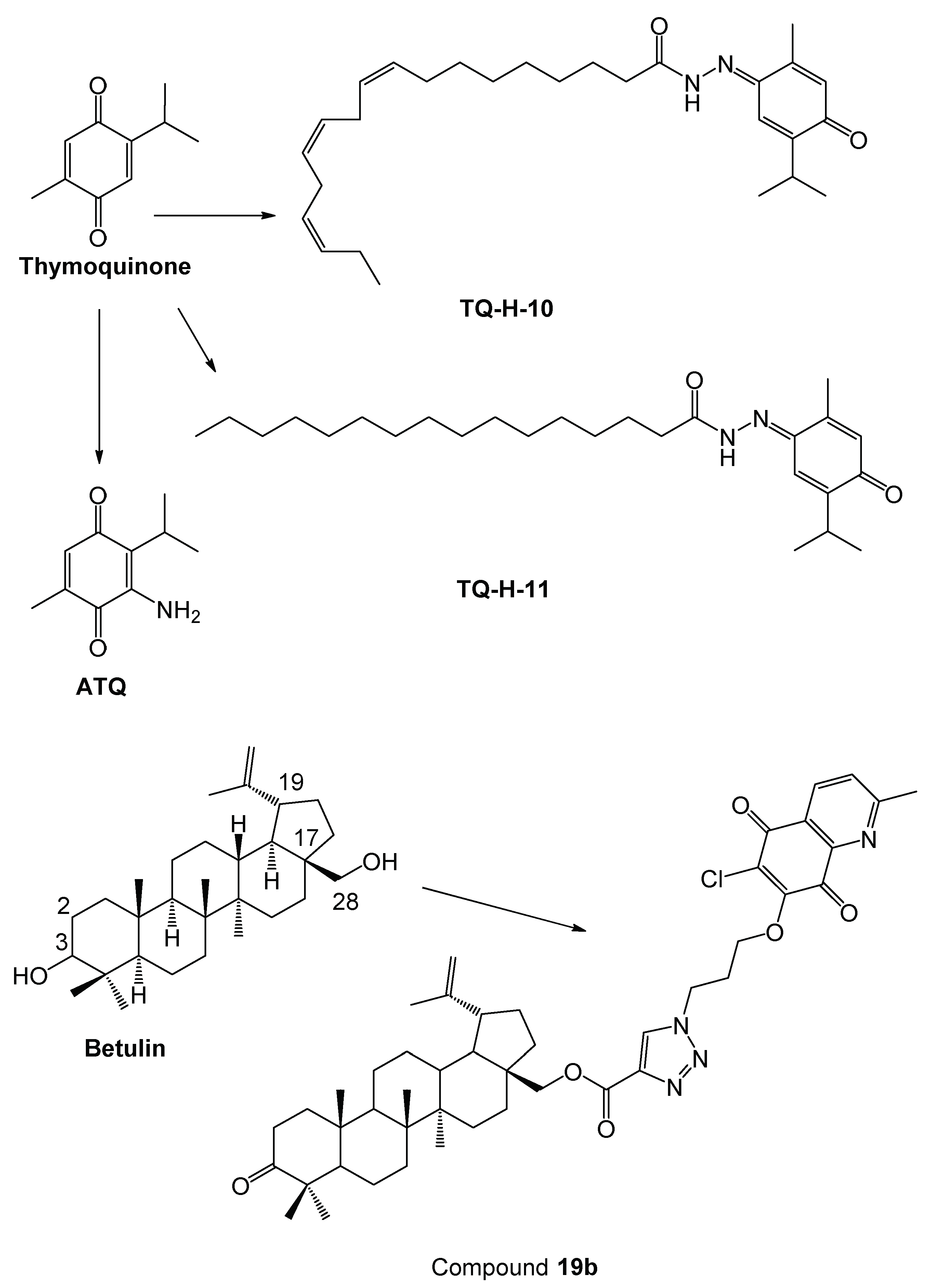 Molecules 27 00693 g011 Molecules 27 00693 g011