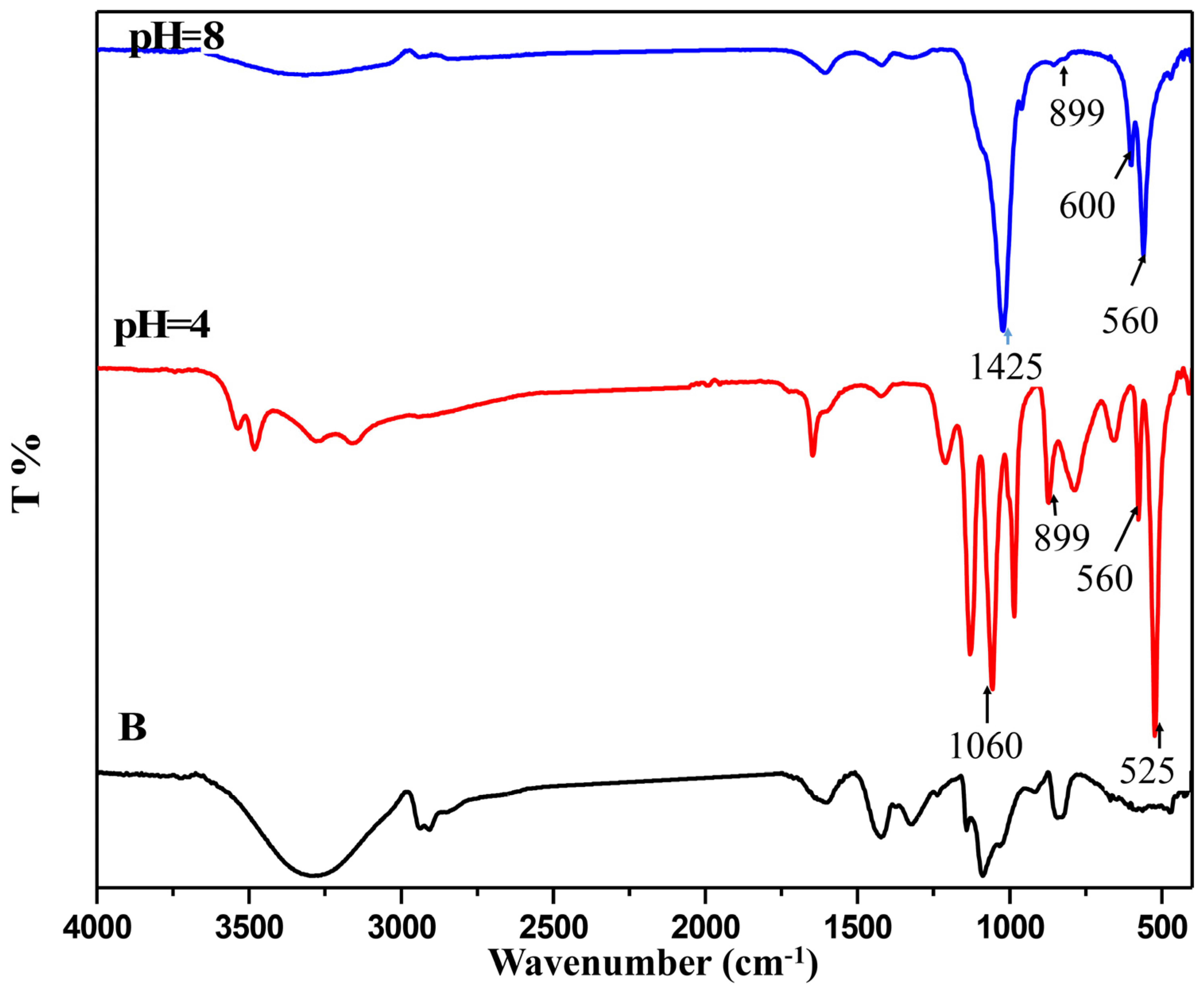 Molecules 27 00697 g004