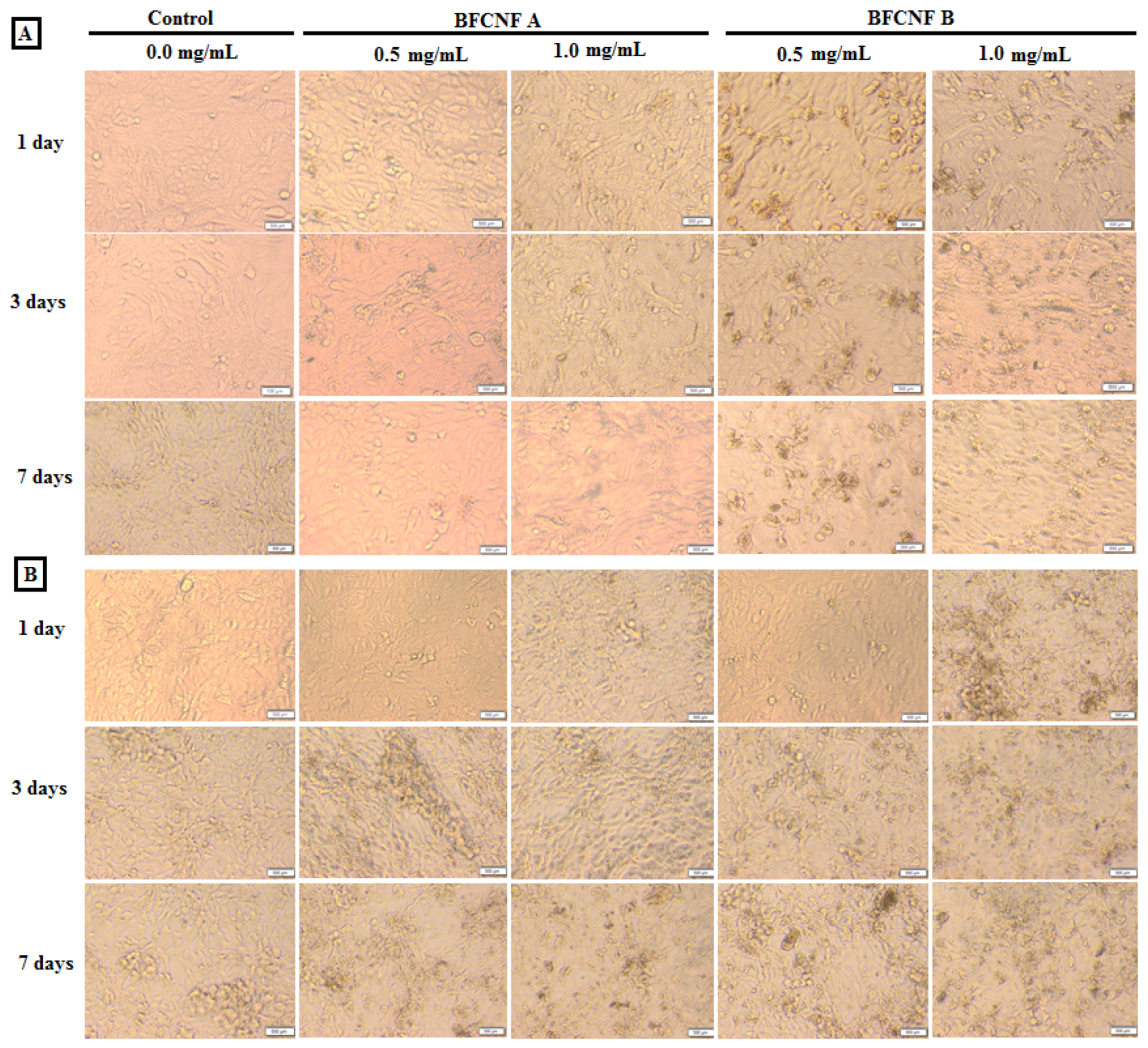 Molecules 27 00697 g007
