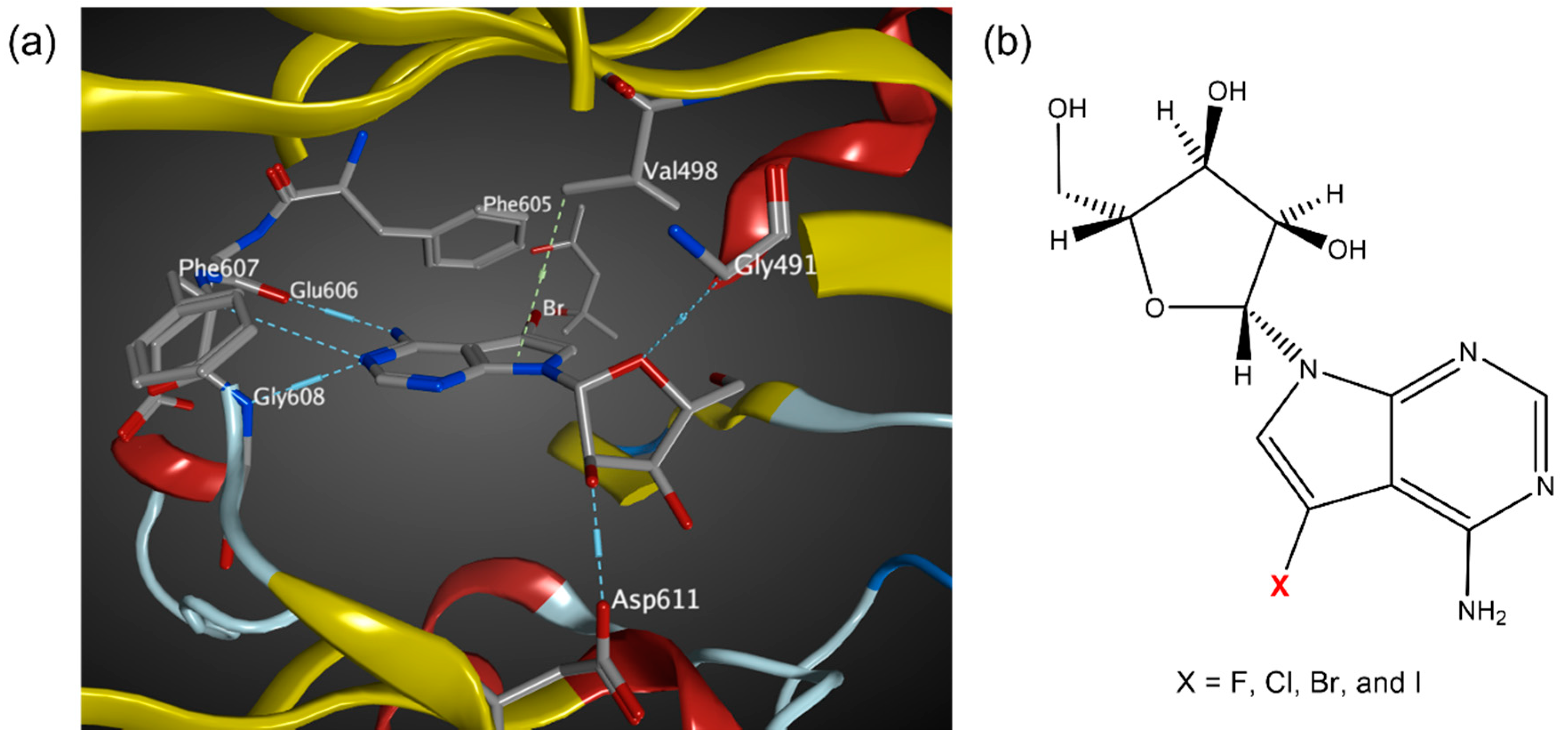 Molecules 27 00706 g001 550
