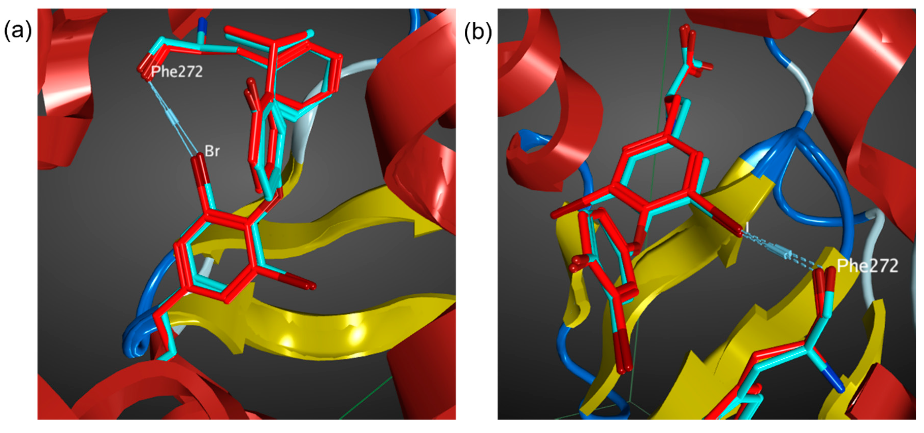 Molecules 27 00706 g002 550