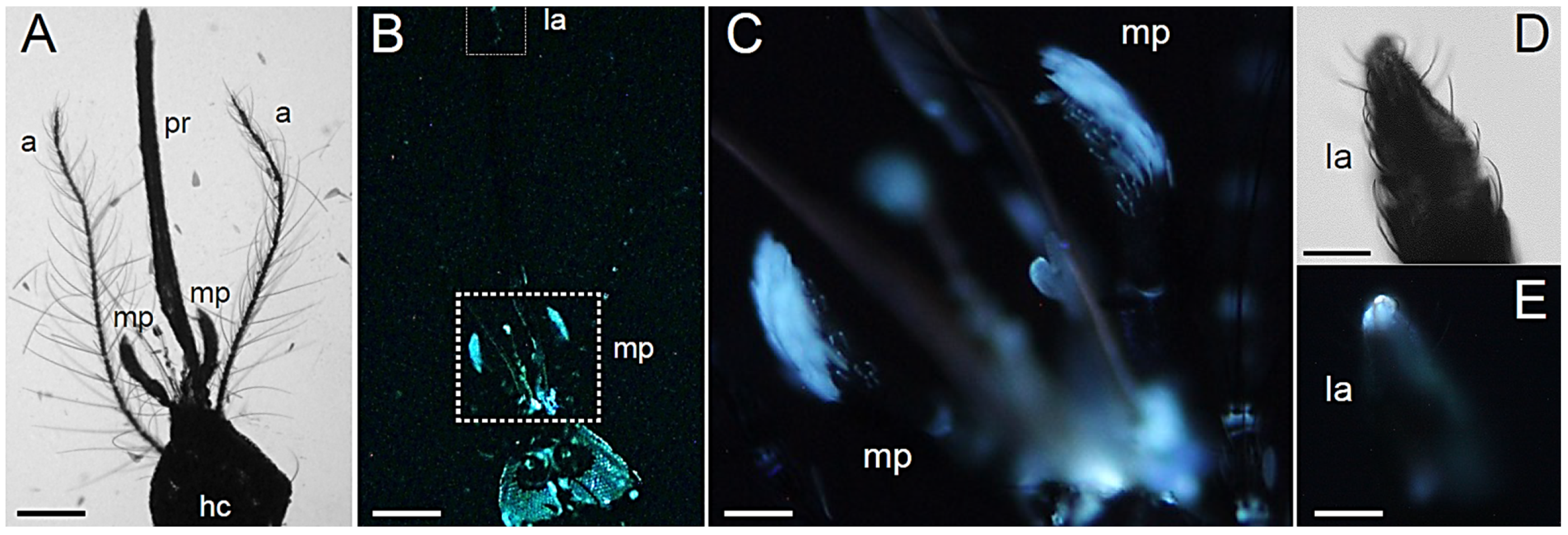 Molecules 27 00713 g001 Molecules 27 00713 g001