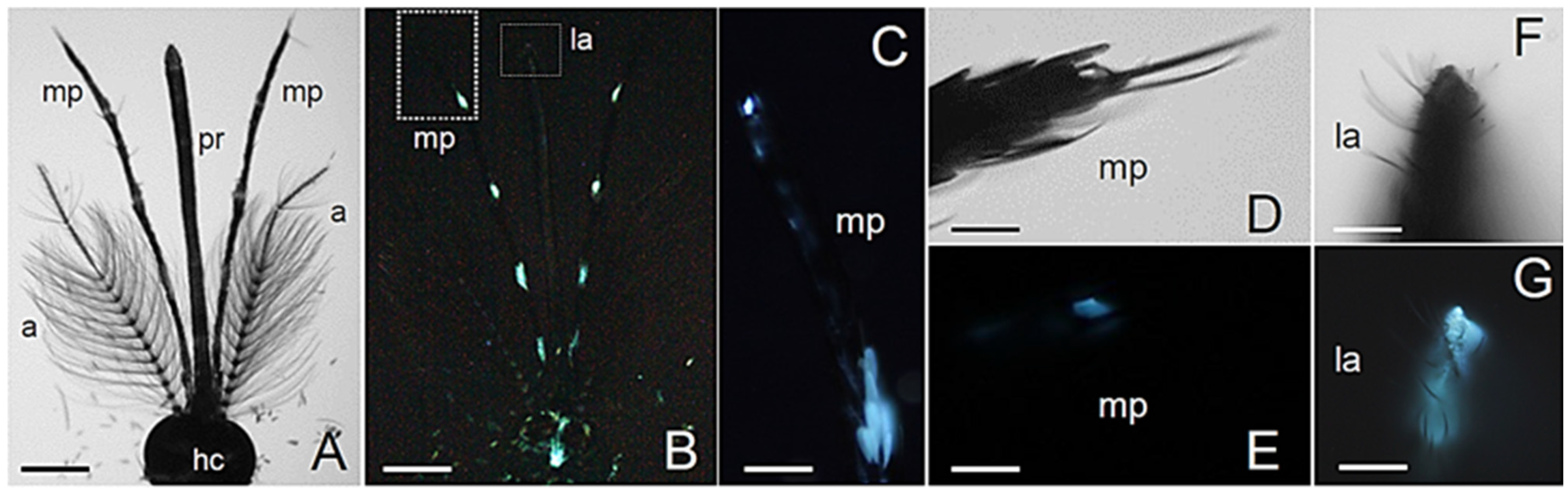 Molecules 27 00713 g002 Molecules 27 00713 g002