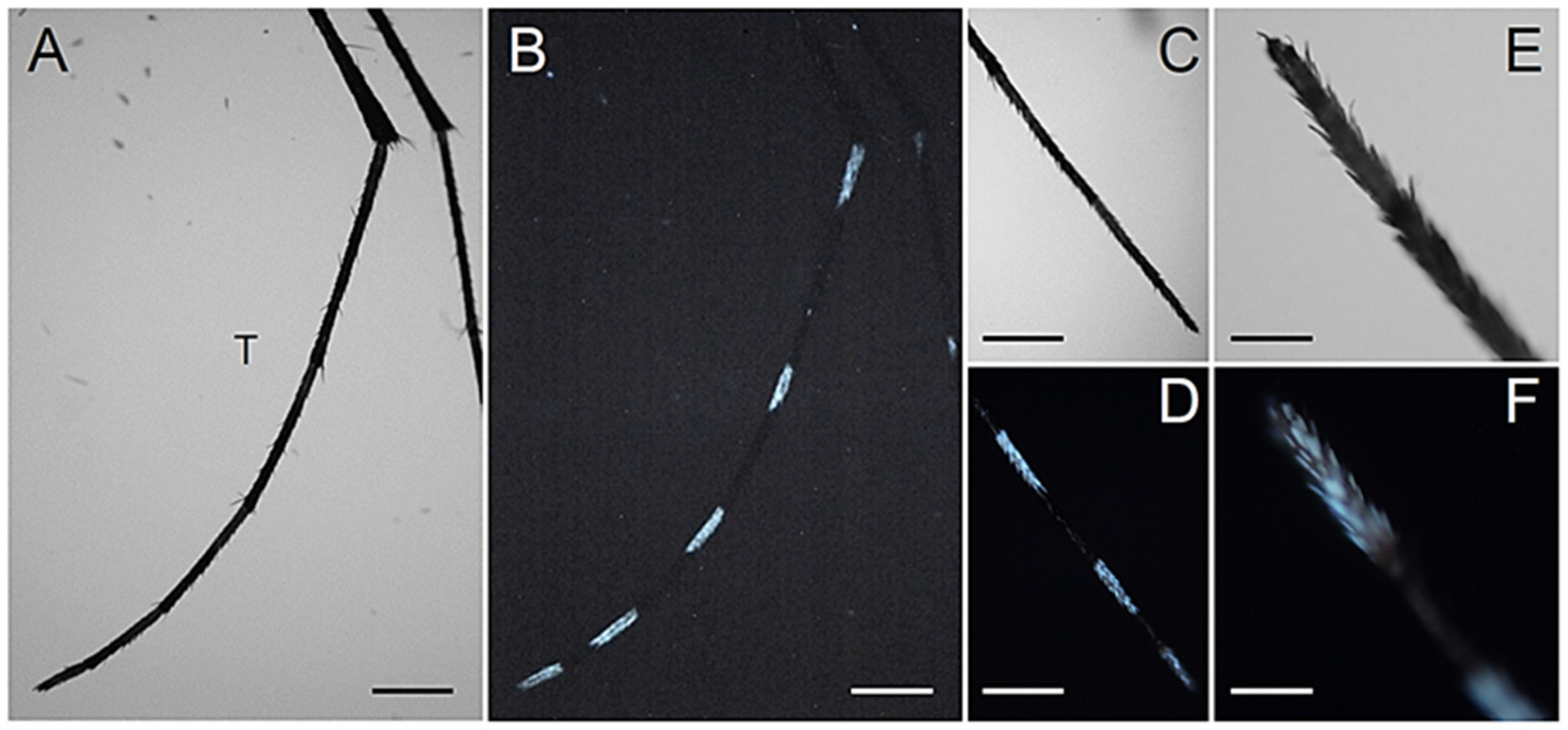 Molecules 27 00713 g007 Molecules 27 00713 g007