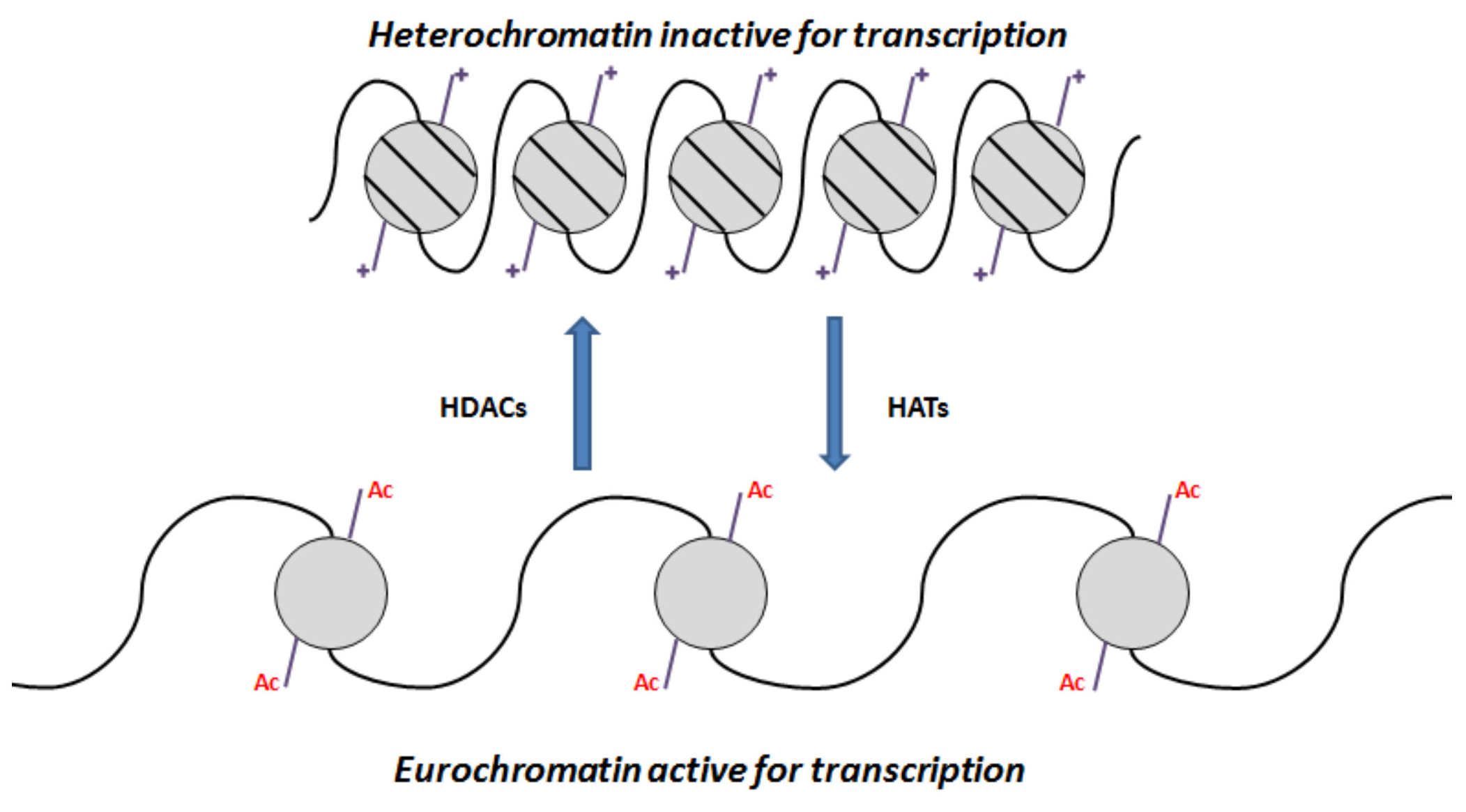 Molecules 27 00715 g001
