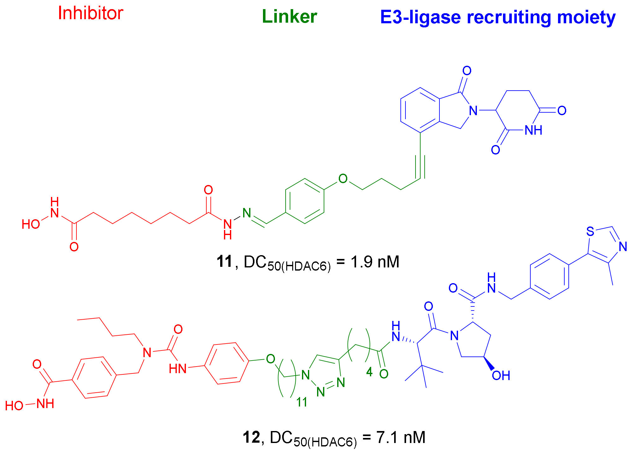 Molecules 27 00715 g007