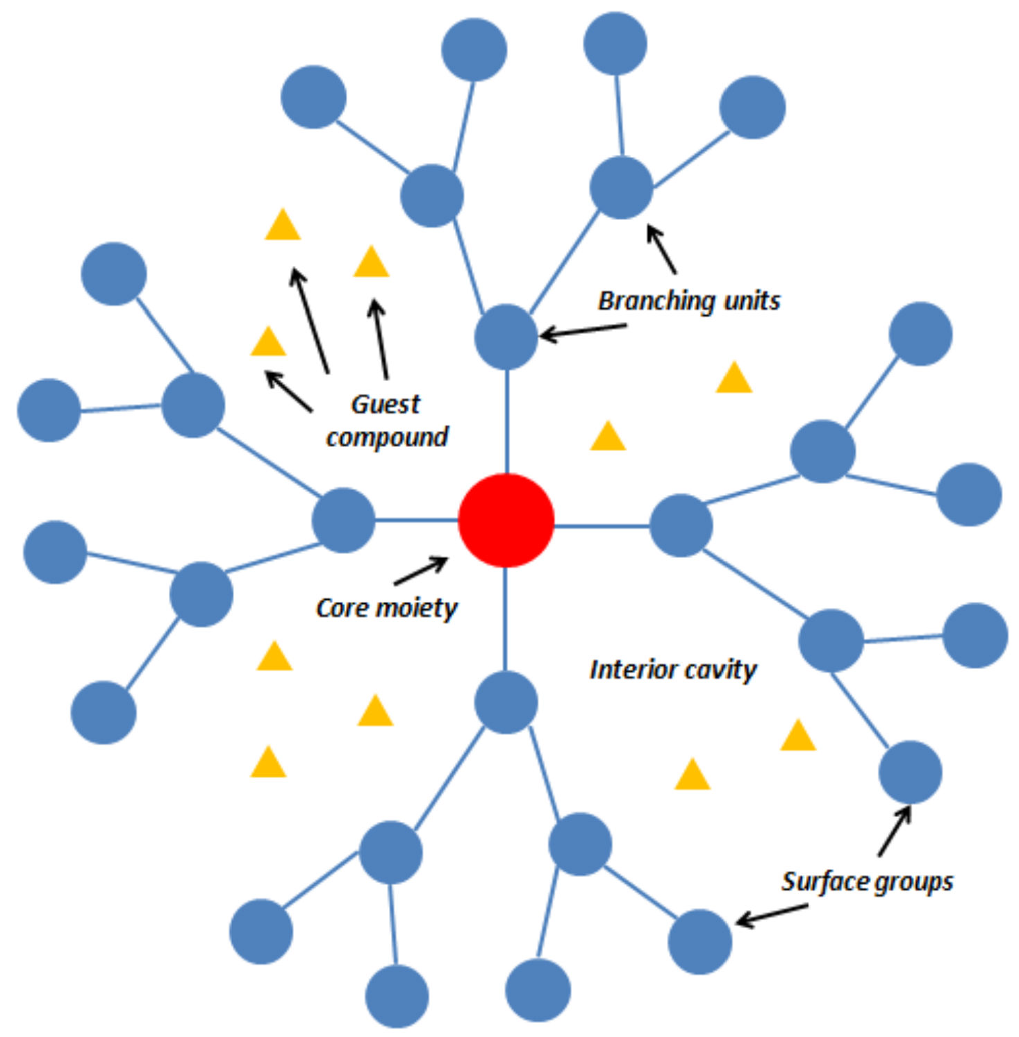 Molecules 27 00715 g013