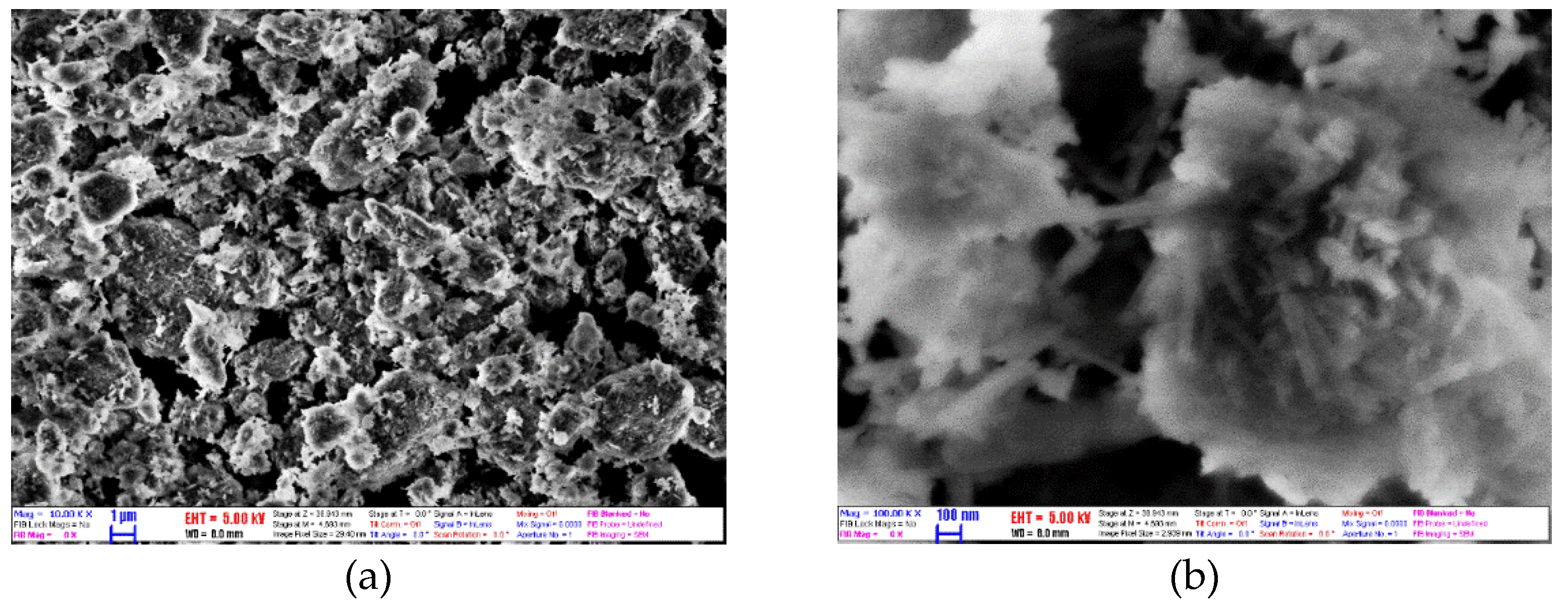 Molecules 27 00729 g003