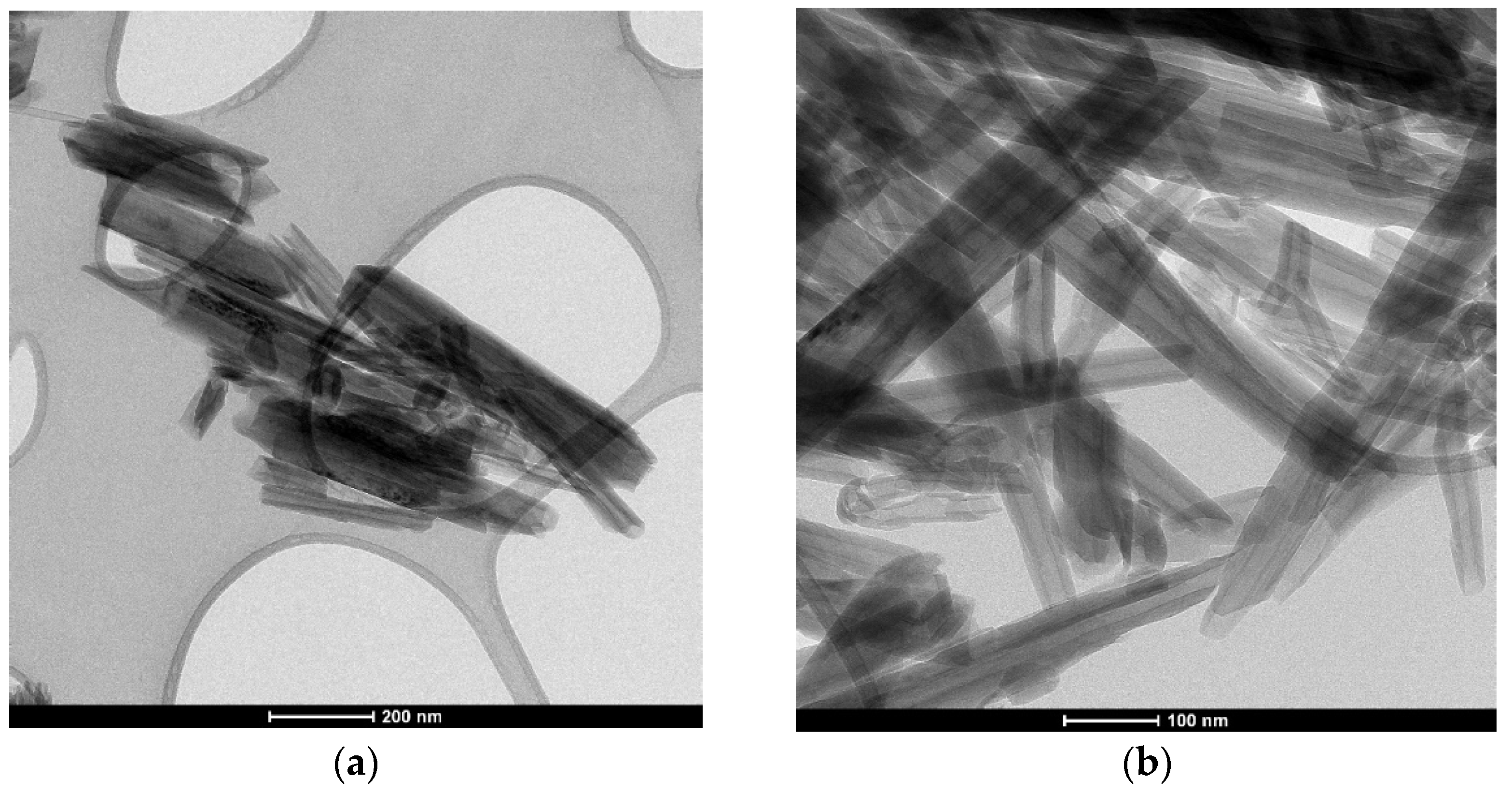 Molecules 27 00729 g004