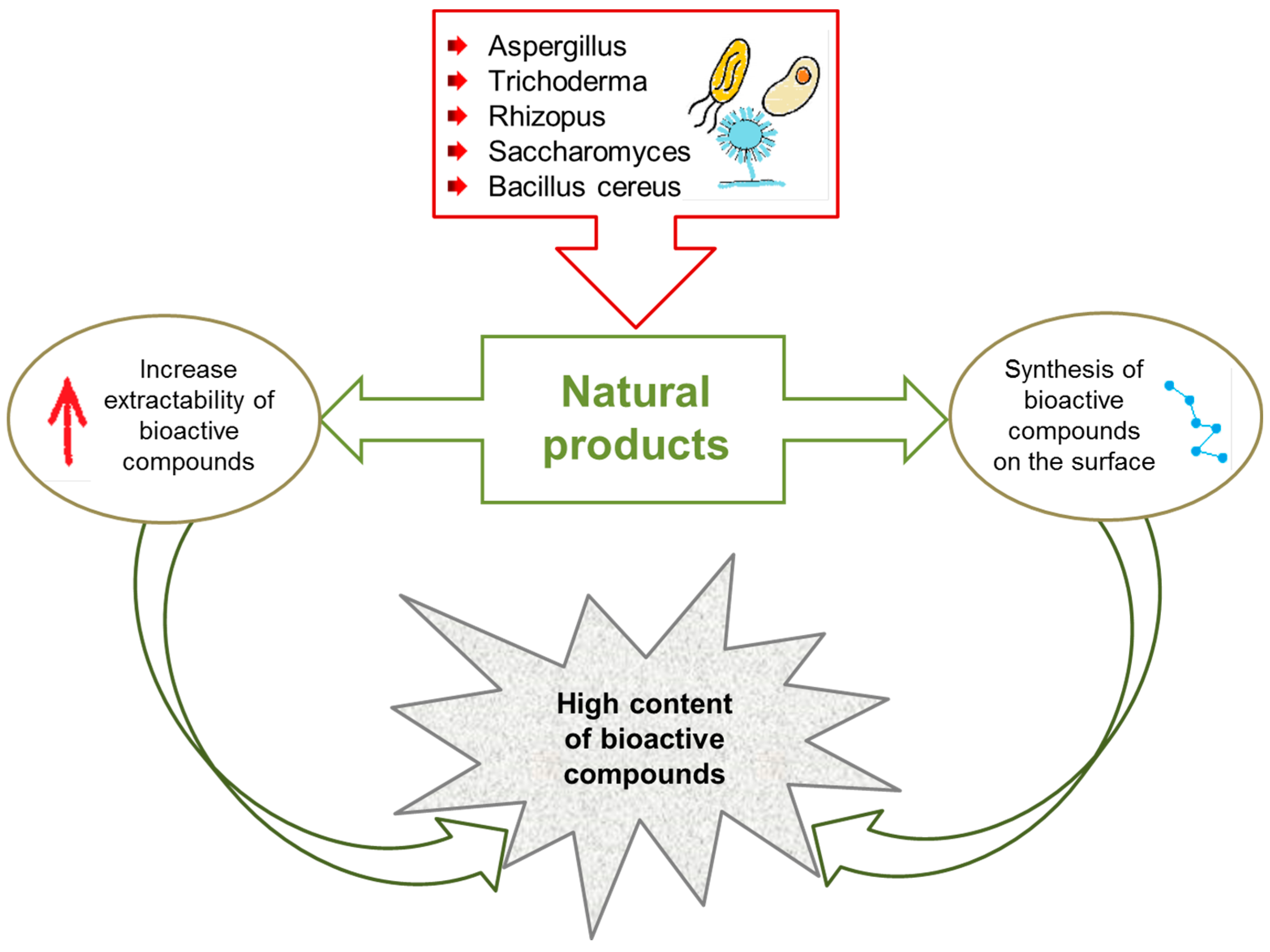 Molecules 27 00730 g005 550